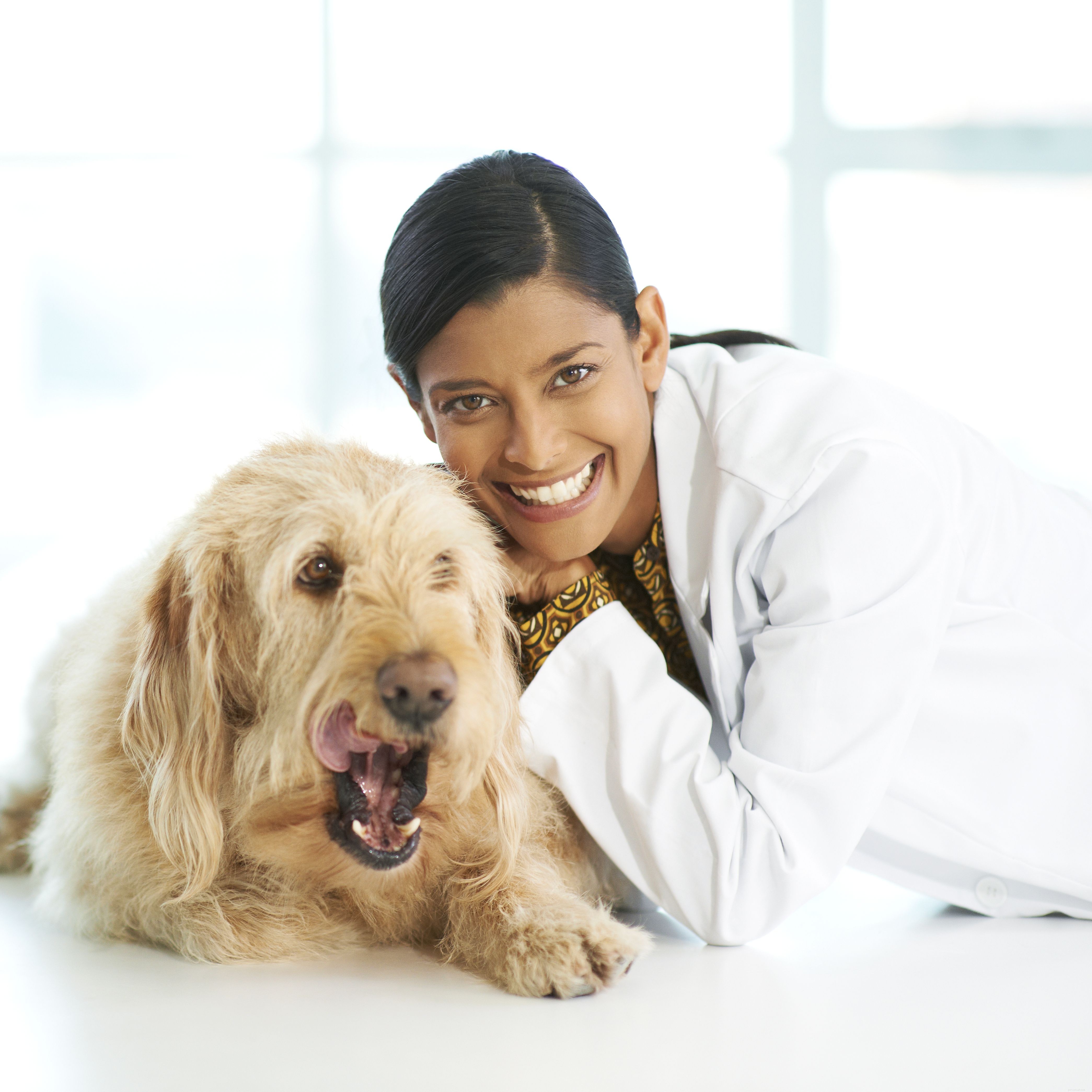 Essential Guide for First‑Time Dog Owners: Tips & Advice