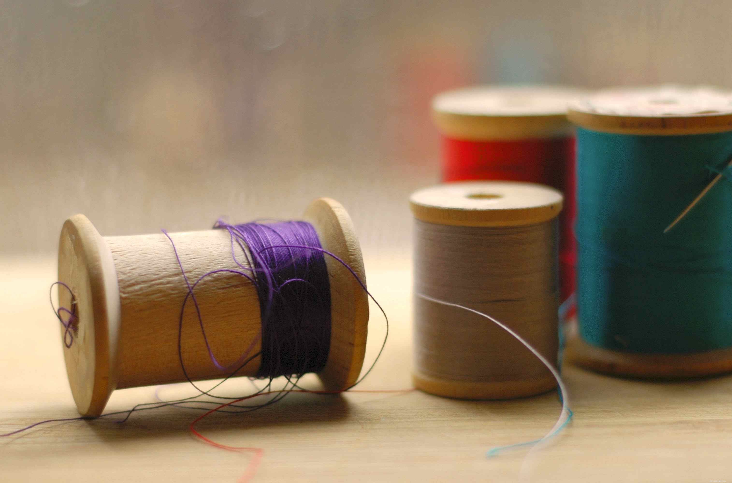 5 Budget-Friendly DIY Bird Toys to Keep Your Feathered Friend Entertained