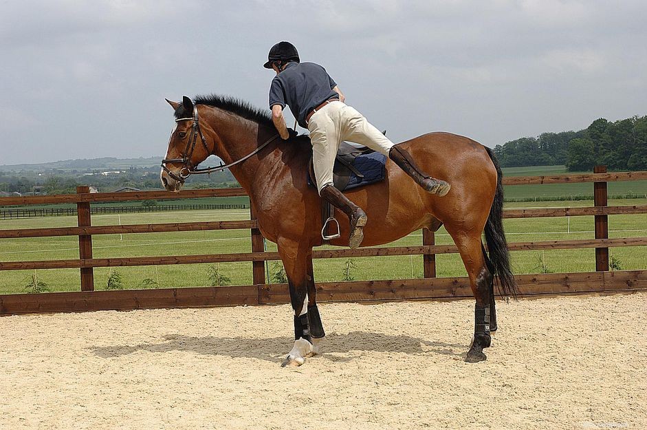 Master Safe Dismounting: Easy Steps for You and Your Horse