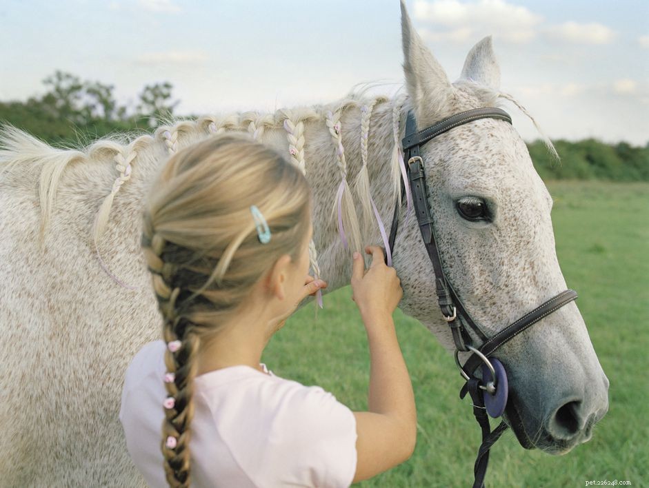 Expert Guide to Positioning Your Horse’s Mane on the Correct Side