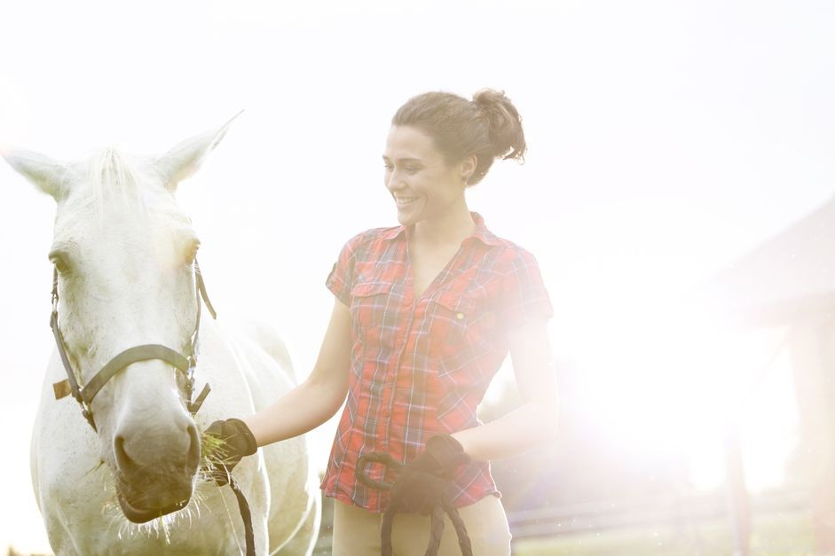 Essential Safety Rules for Working with Horses