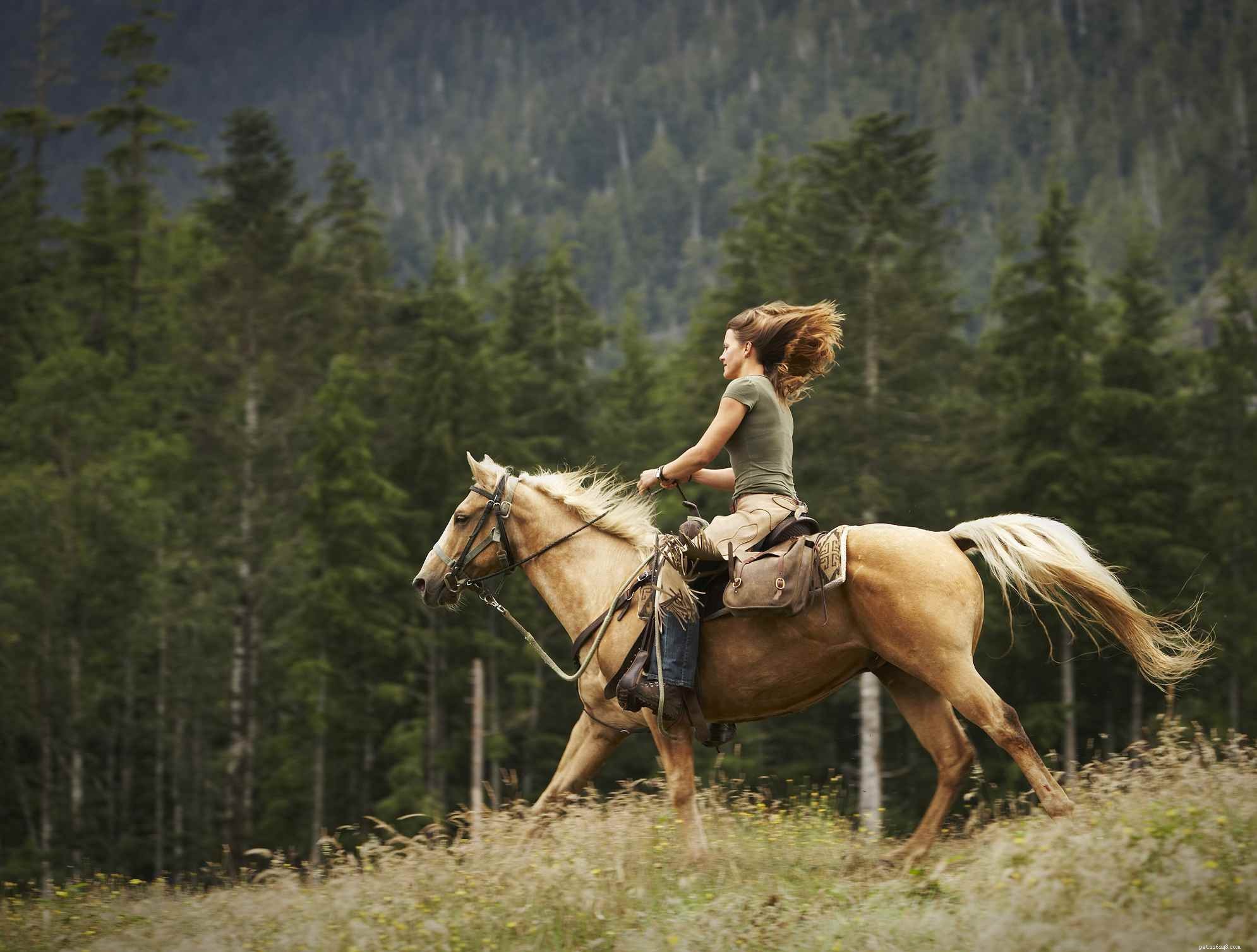 Top 10 Horse Riding Mistakes Beginners Make & How to Fix Them