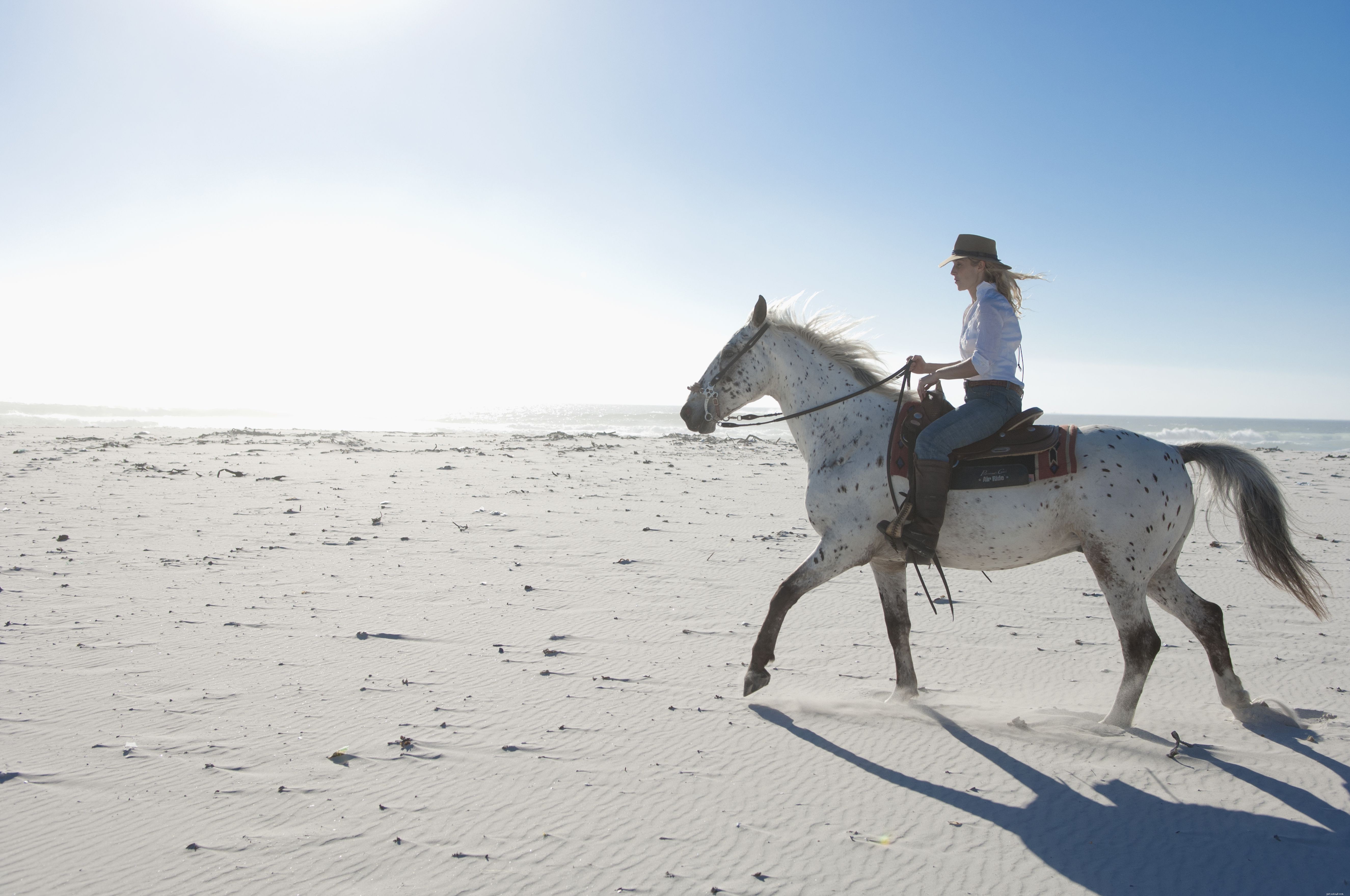 Top 10 Horse Riding Mistakes Beginners Make & How to Fix Them