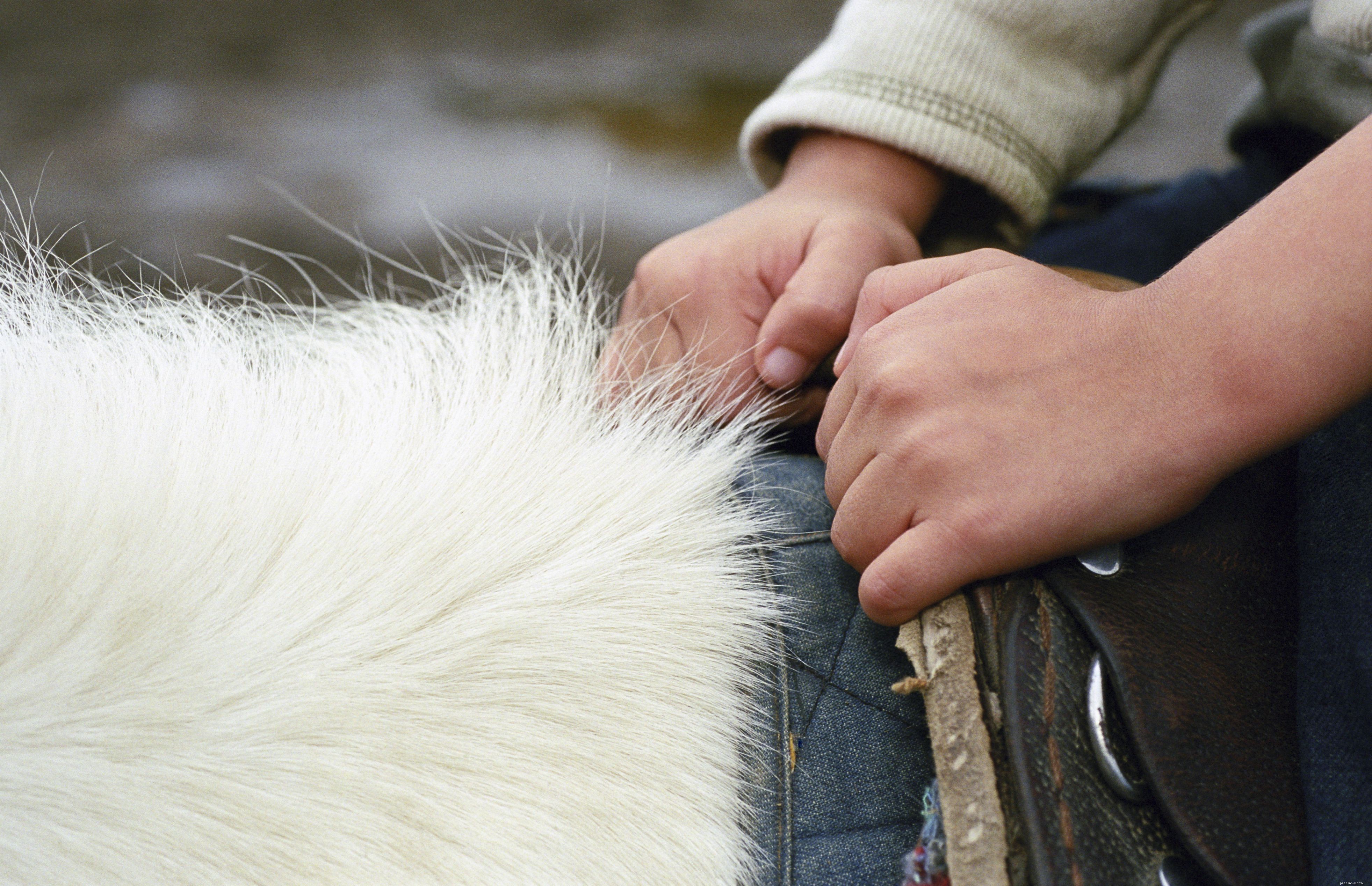 Top 10 Horse Riding Mistakes Beginners Make & How to Fix Them