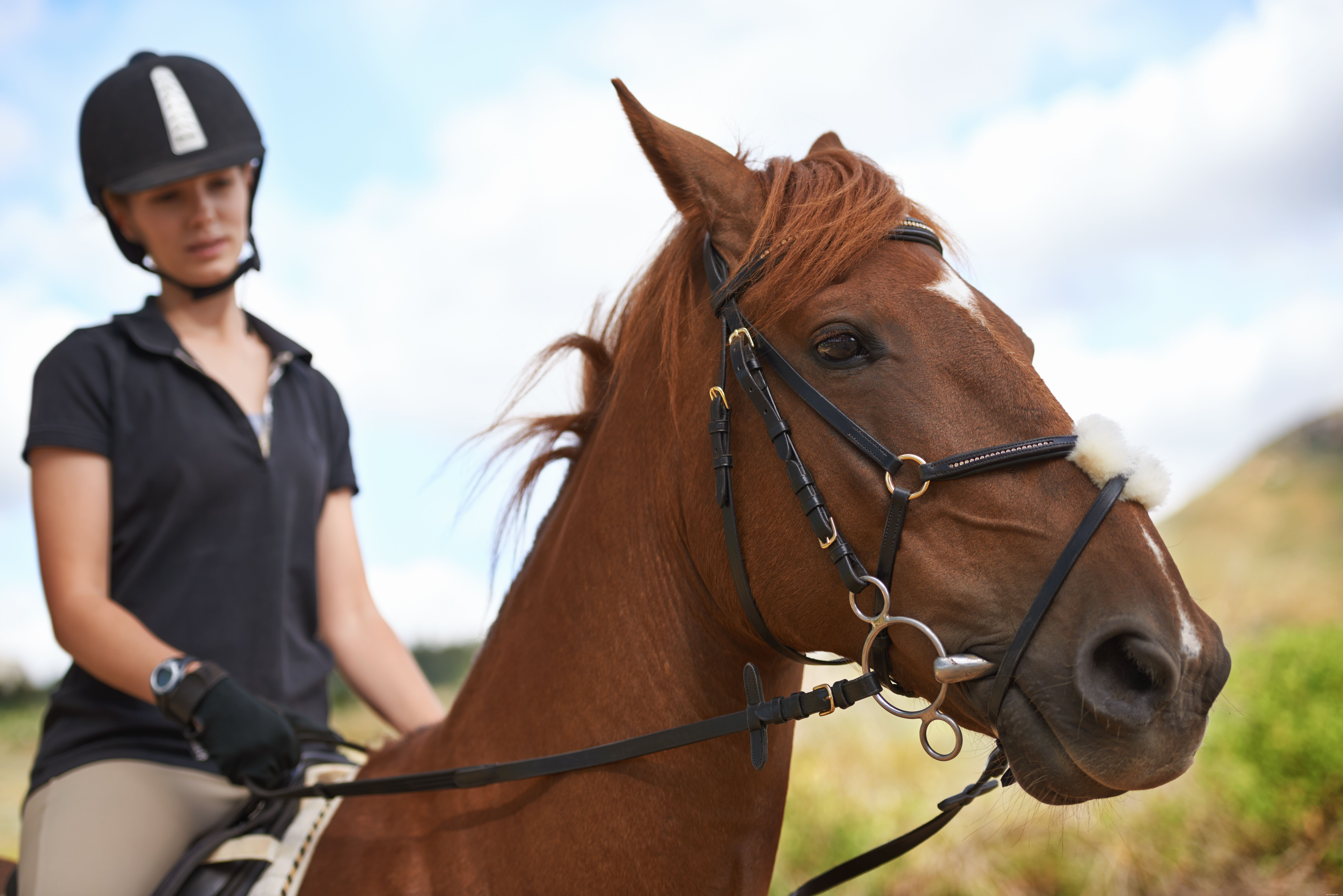 Top 10 Horse Riding Mistakes Beginners Make & How to Fix Them