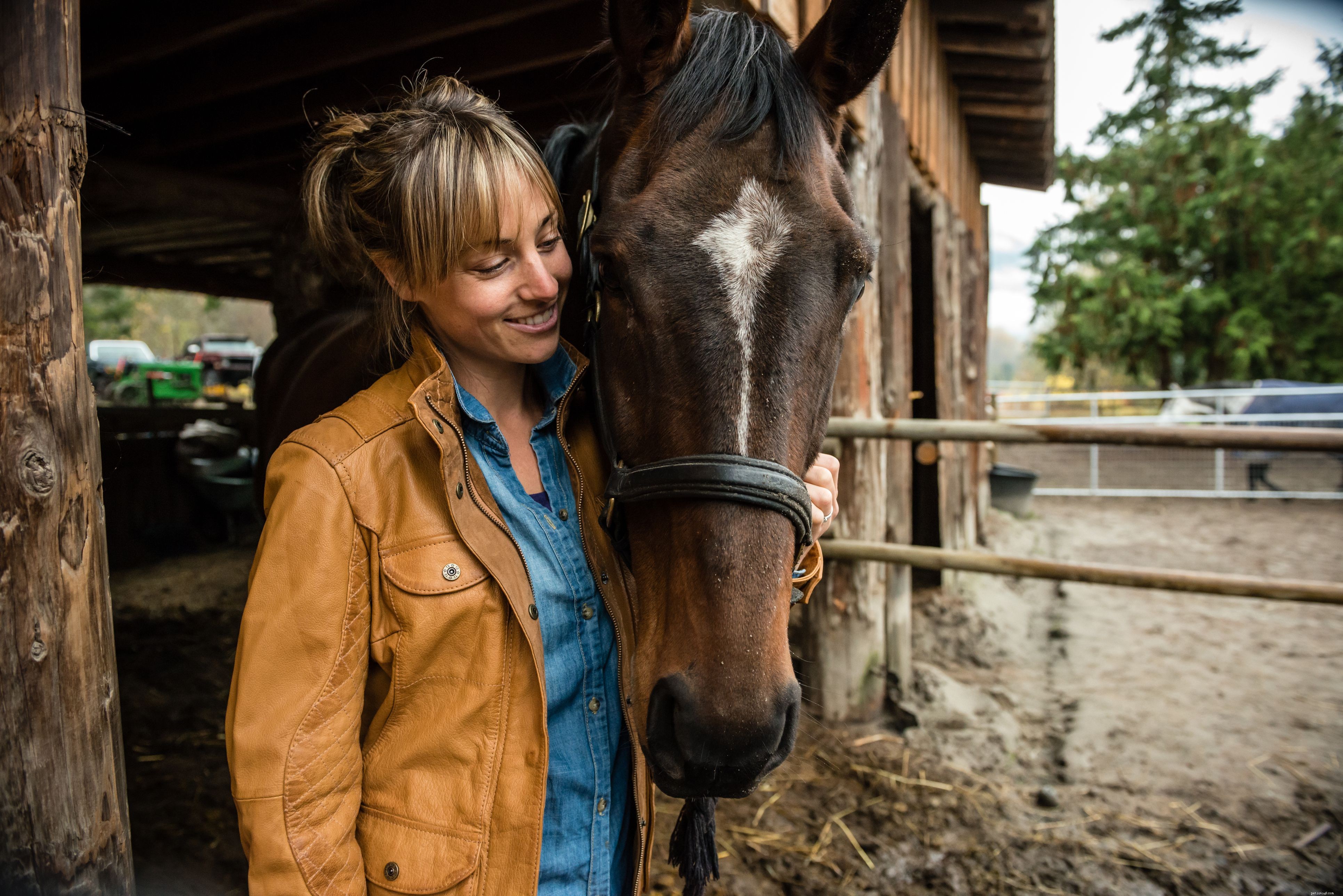 10 Creative & Practical Horse Name Generators to Find the Perfect Equine Name