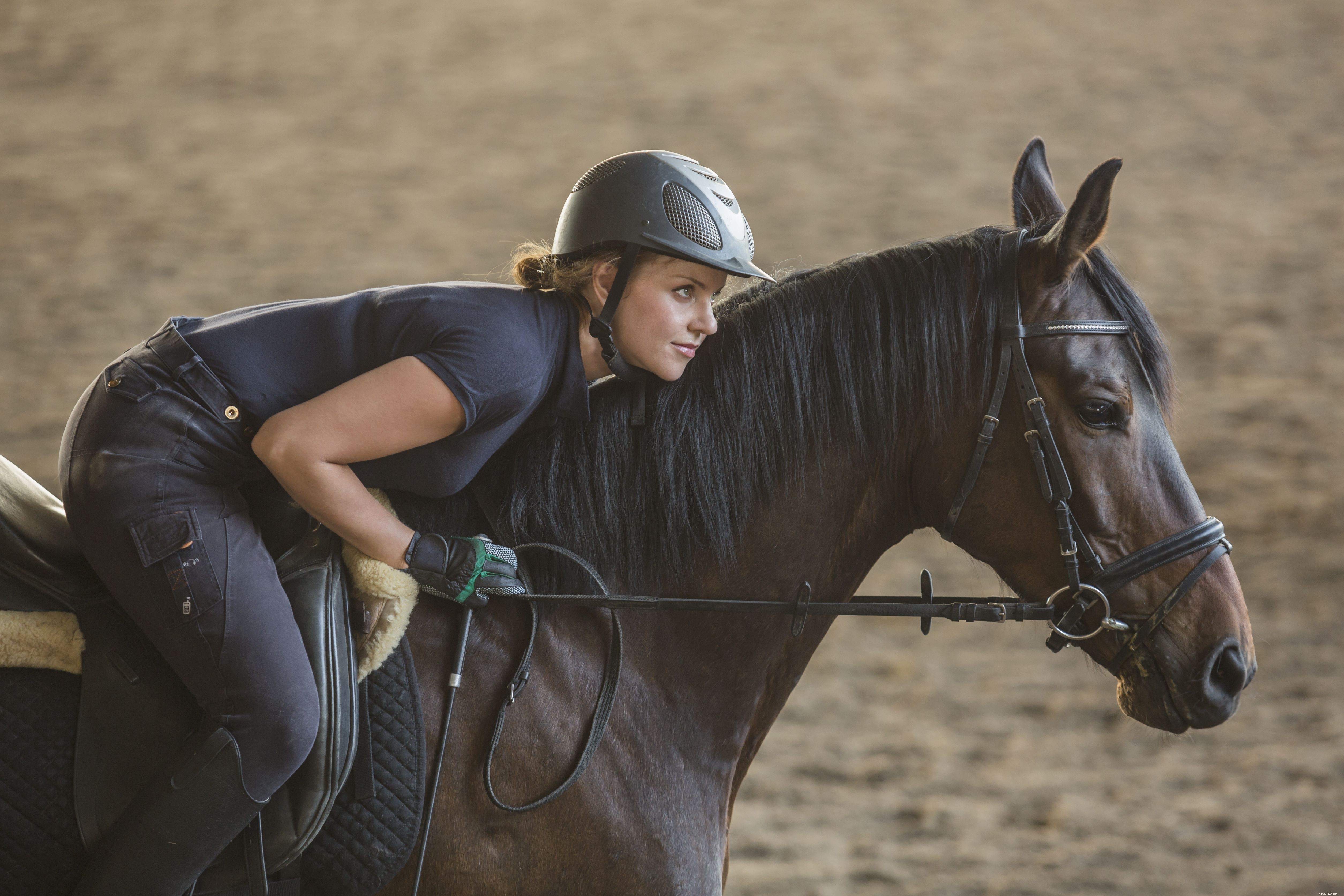 10 Creative & Practical Horse Name Generators to Find the Perfect Equine Name