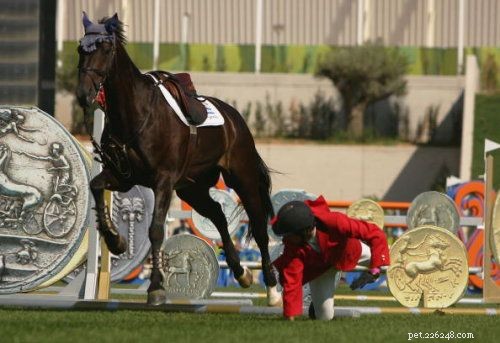 10 Insightful Horse Quotes Explained – Their True Meanings