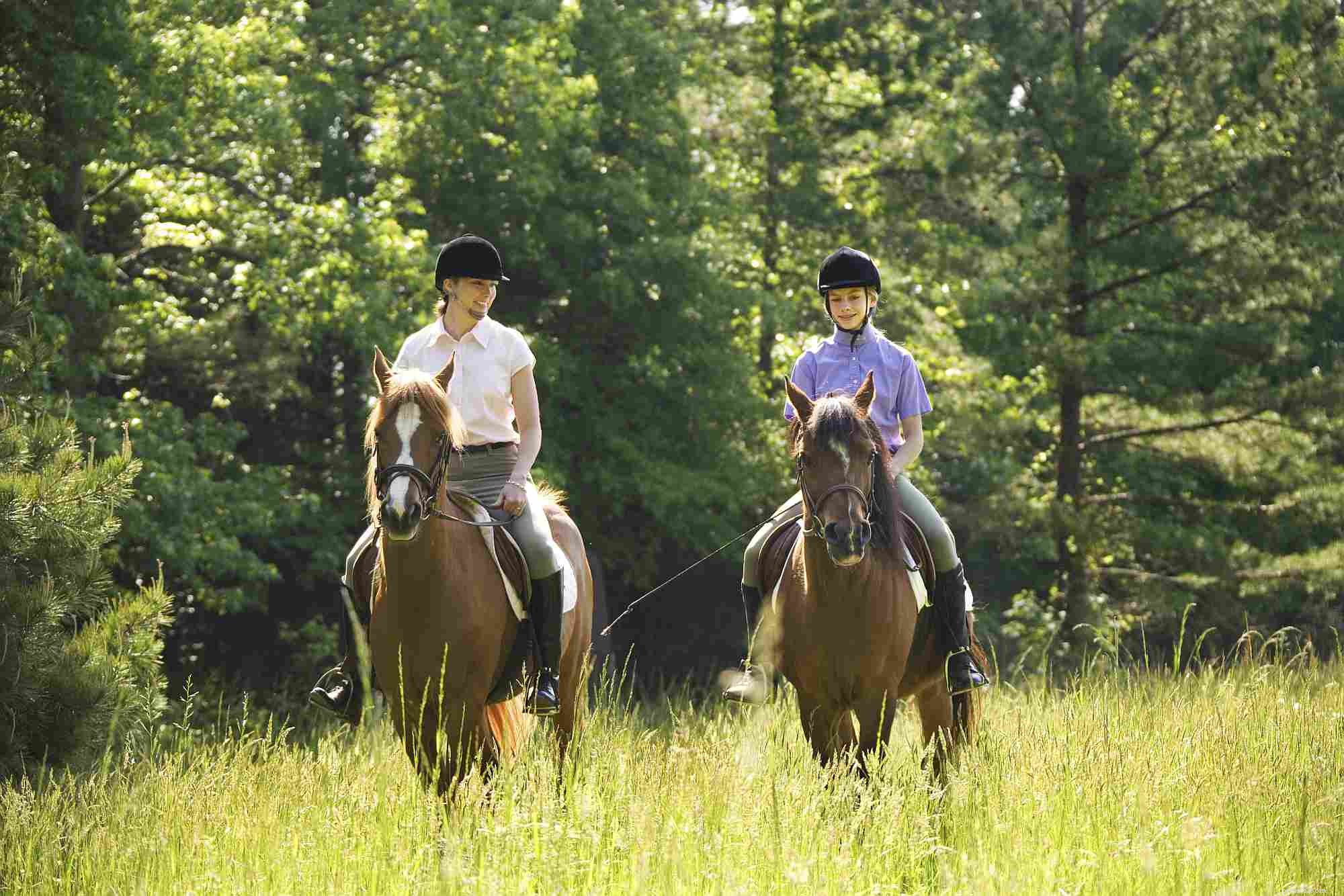 10 Insightful Horse Quotes Explained – Their True Meanings