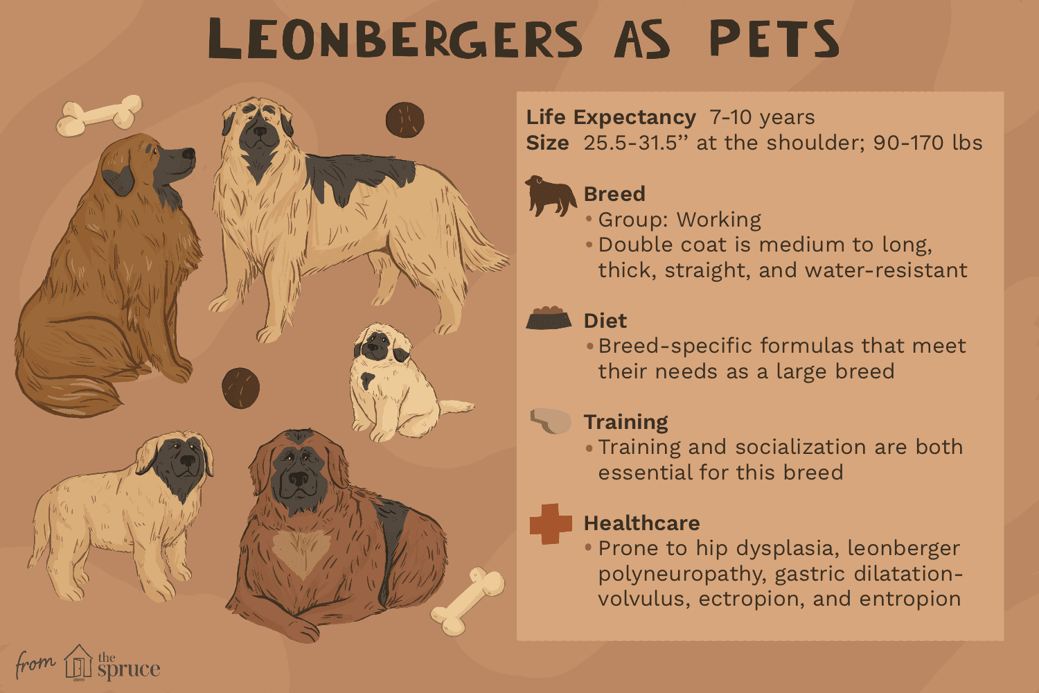 Leonberger (Leo) Dogs: In-Depth Breed Guide, Care, and Adoption Tips