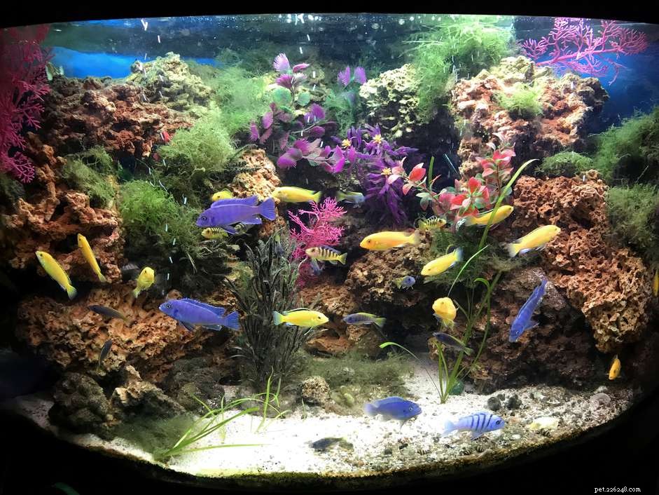 Manual Aquarium Heating: Keep Your Fish Warm During Power Outages