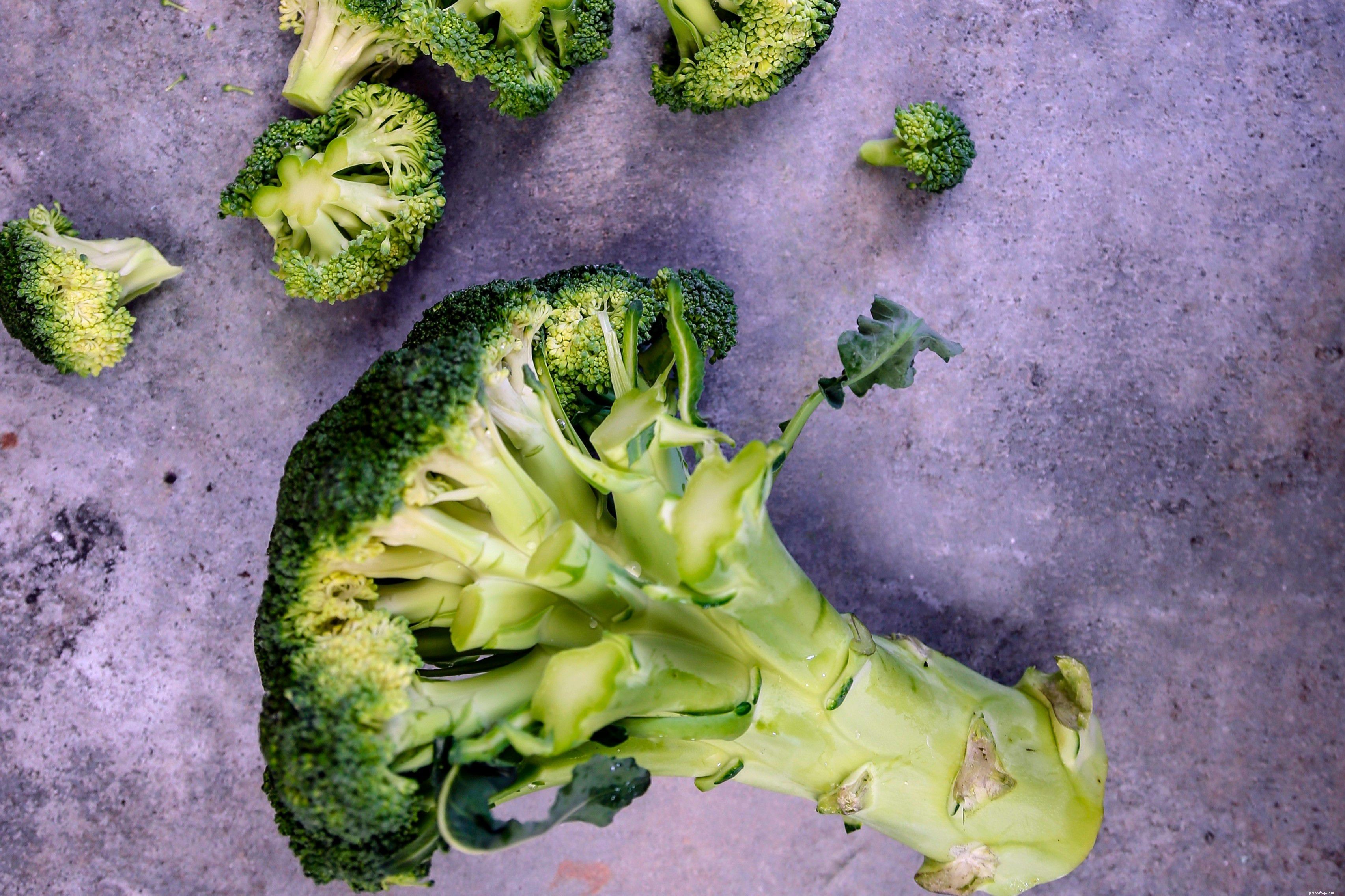Healthy & Safe Vegetables for Your Pet Bird s Diet
