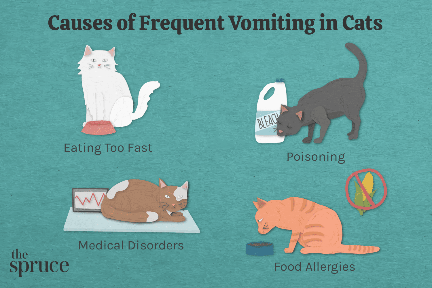 Managing Frequent Vomiting in Cats: Causes, Treatments, and Prevention Tips