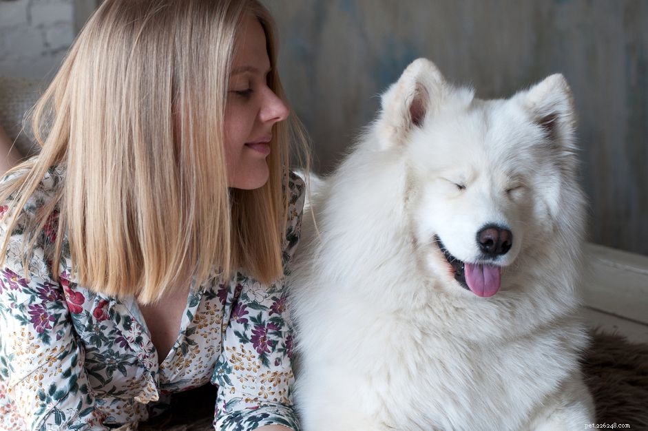 11 Proven Ways to Beat Pet Allergies and Breathe Easy