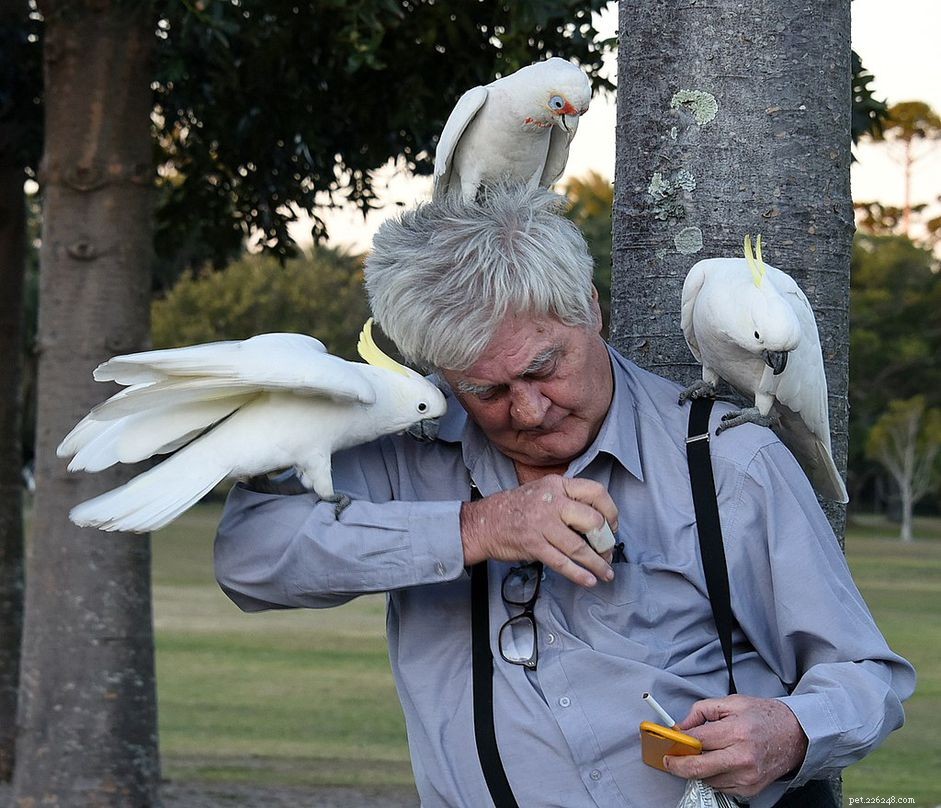 Why Birds Regurgitate: Common Causes & How to Help