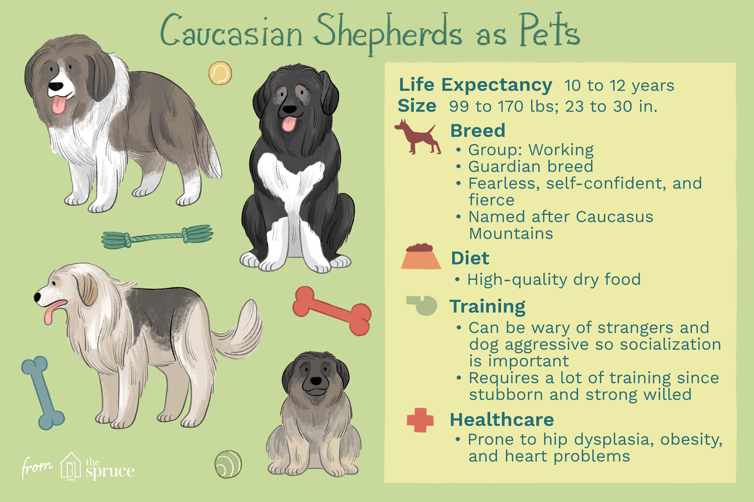 Caucasian Shepherd Dog: Key Traits, Care, and Training Guide