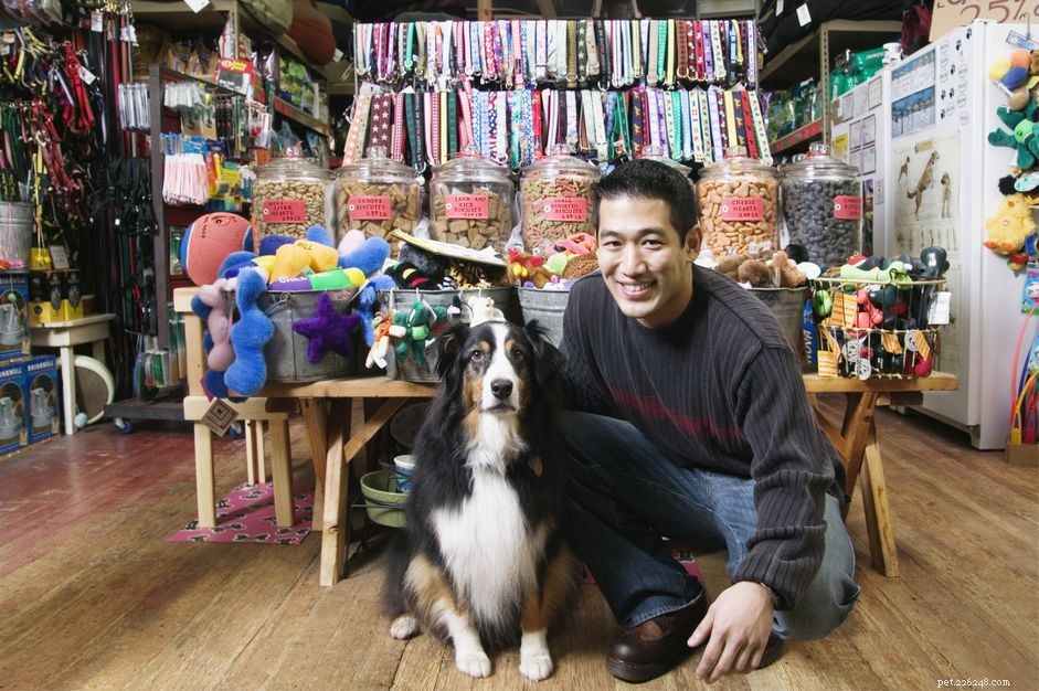 Do Dogs Experience Color Vision? Exploring Their True Palette