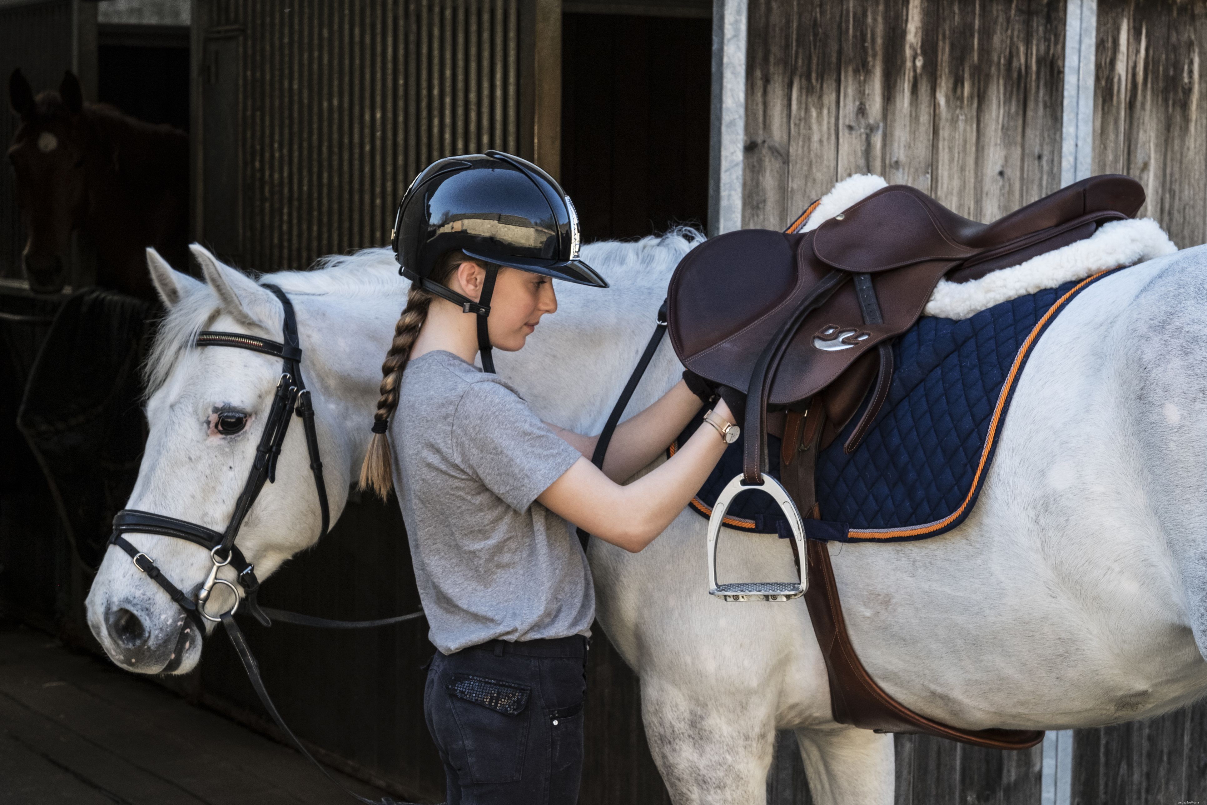 Preventing and Treating Girth Galls & Saddle Sores in Horses