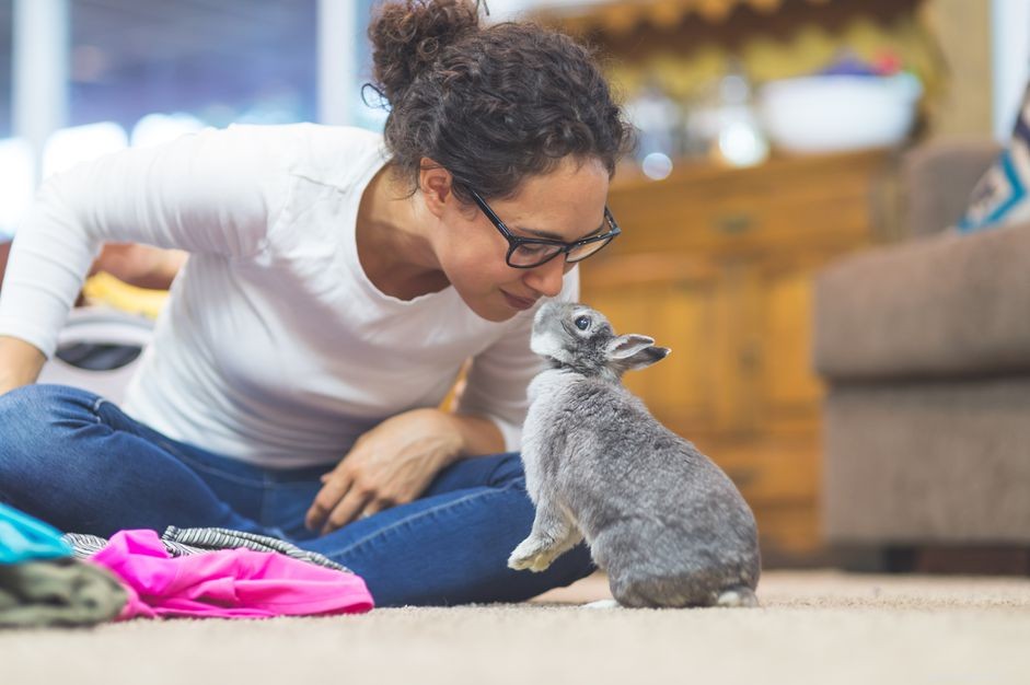 Master Litter Training for Your Rabbit: A Step‑by‑Step Guide