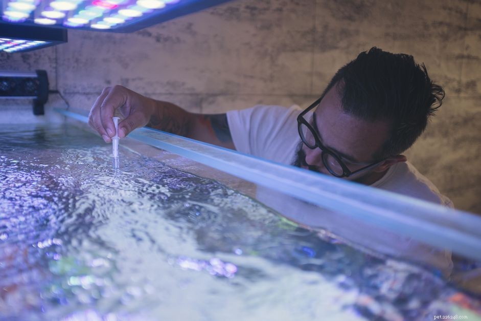 How to Lower Phosphate in Your Aquarium: Simple Steps to Reduce Algae and Improve Water Quality