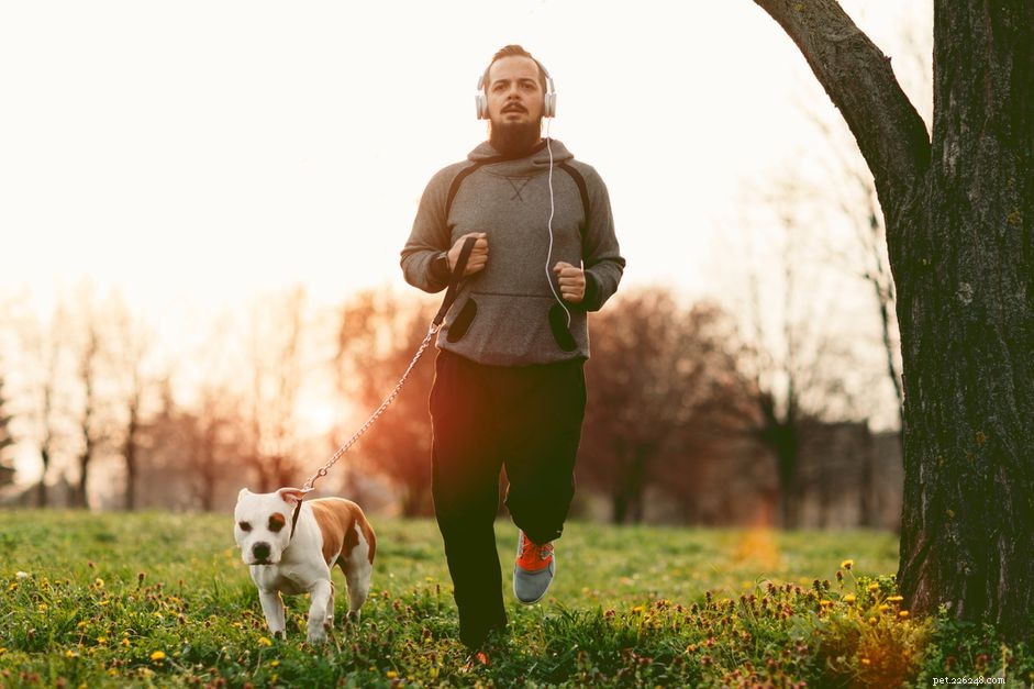 Safe Weight Management Tips for Overweight Puppies