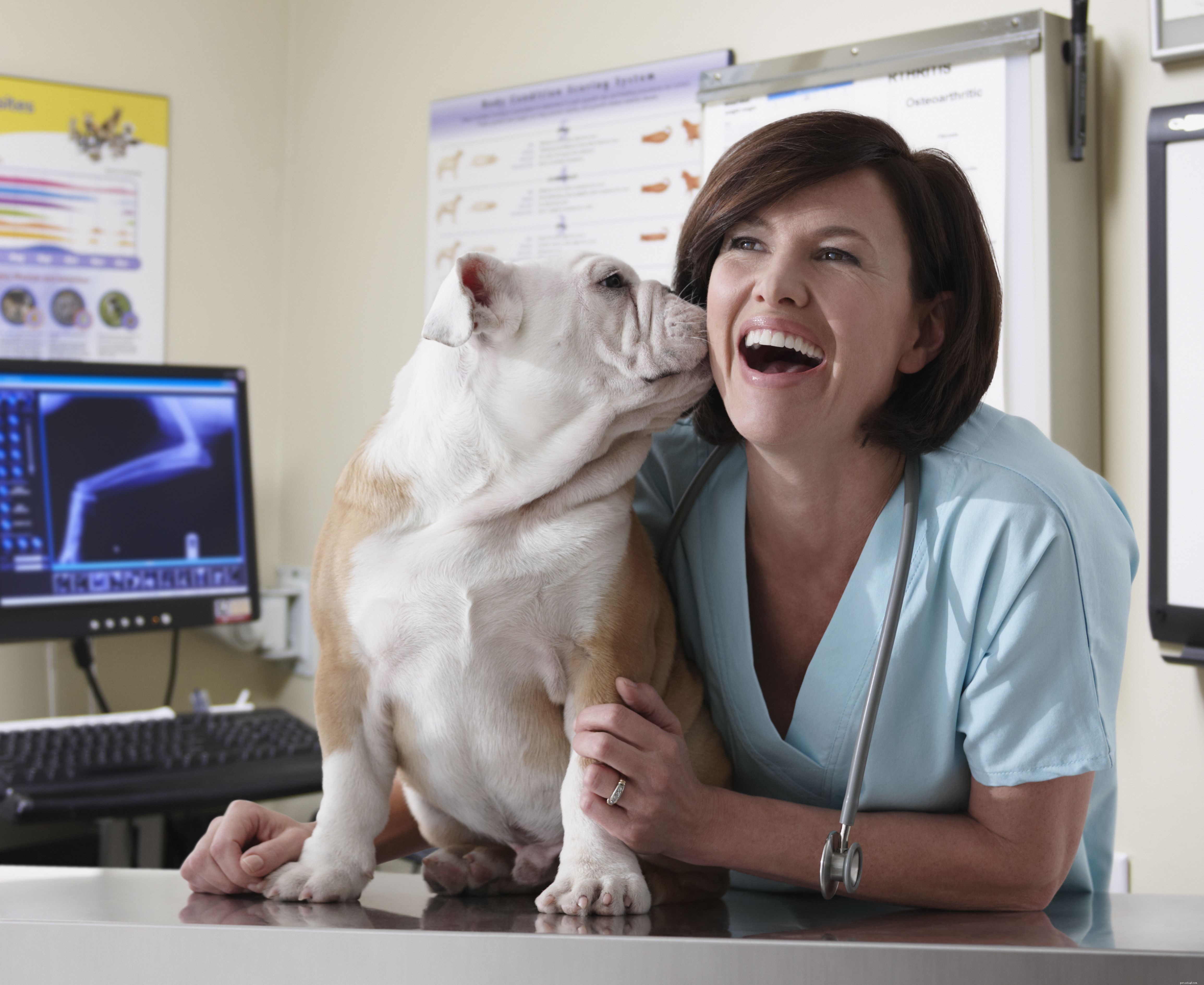 5 Proven Strategies to Make Vet Visits Stress‑Free for Your Dog