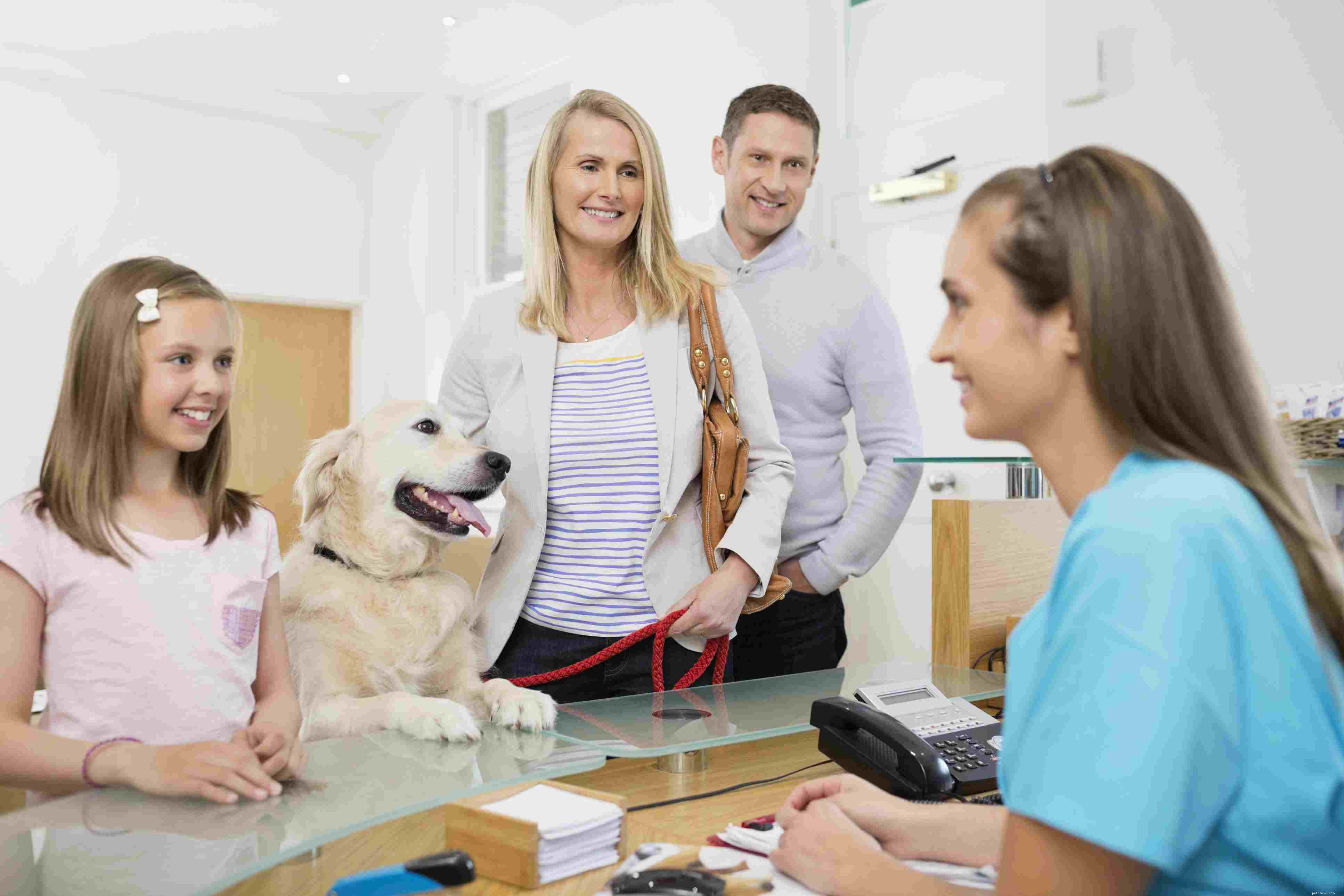 5 Proven Strategies to Make Vet Visits Stress‑Free for Your Dog