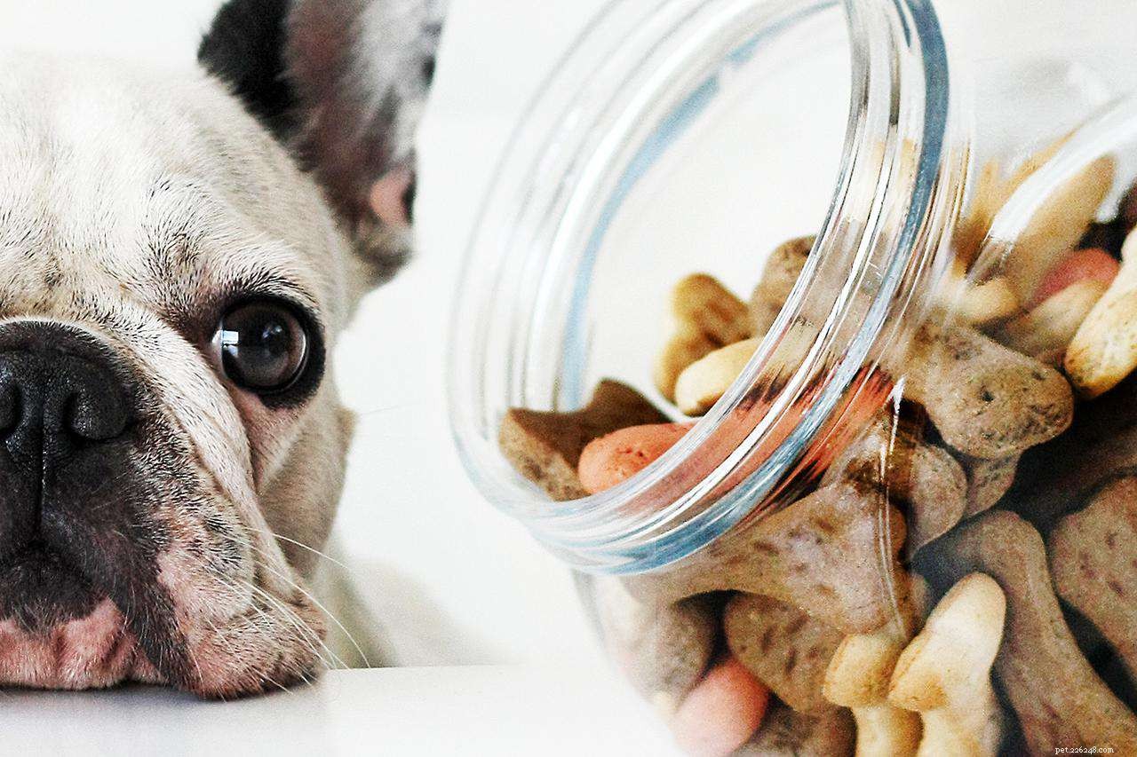 5 Proven Strategies to Make Vet Visits Stress‑Free for Your Dog