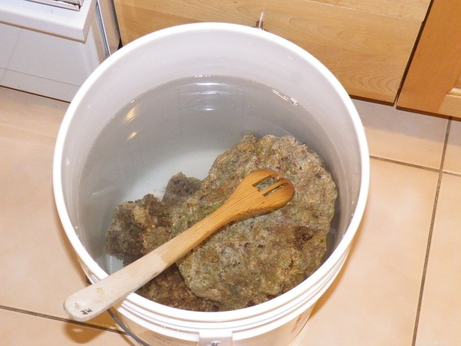 Cycling a New Saltwater Aquarium Without Adding Fish: Step-by-Step Guide