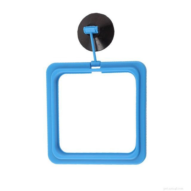 Optimize Fish Feeding with Reliable Feeding Rings