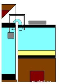 Building a Saltwater Aquarium Refugium: A Step‑by‑Step Guide