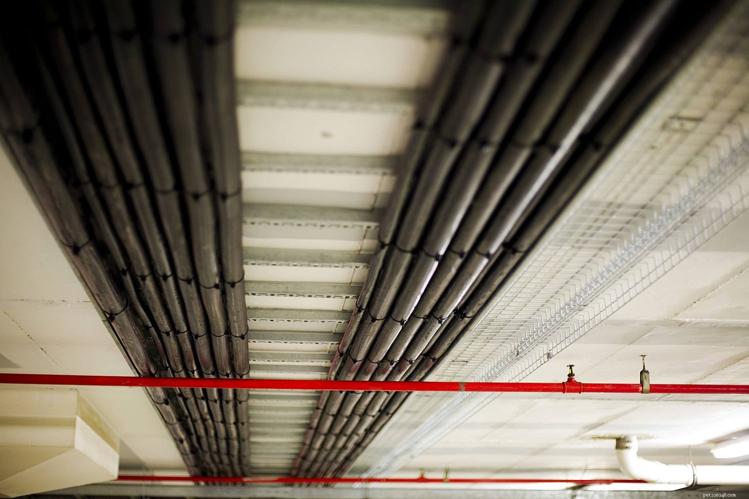 Enhance Your Stable’s Fire and Emergency Safety: Practical Design & Retrofitting Tips