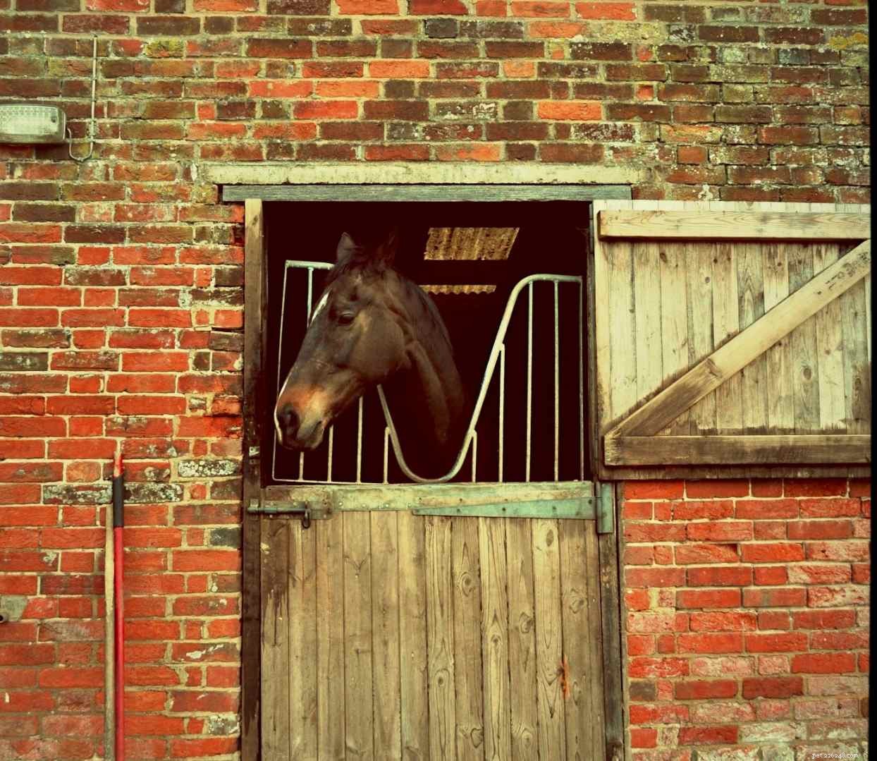 Enhance Your Stable’s Fire and Emergency Safety: Practical Design & Retrofitting Tips