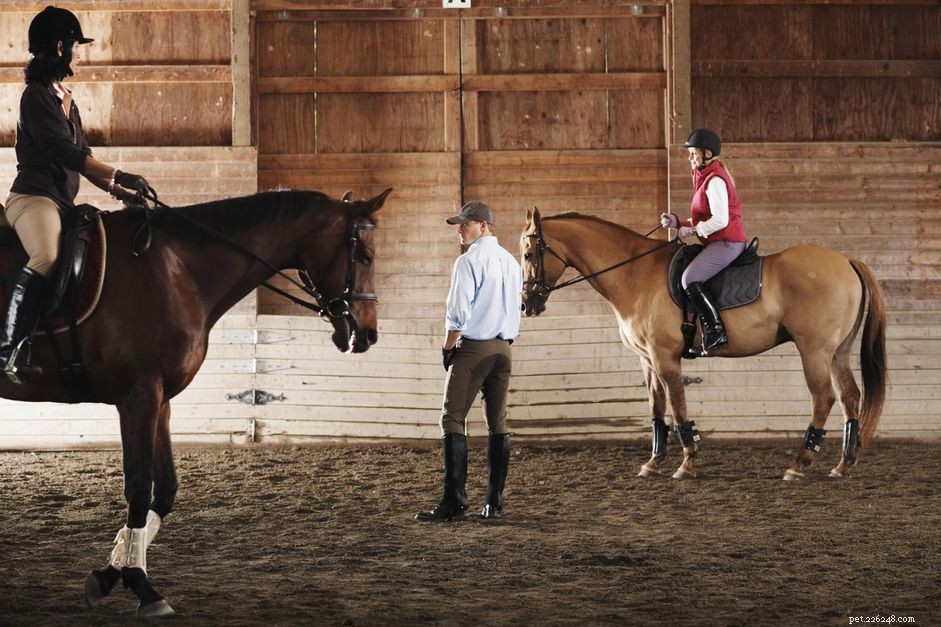 Mastering Control: Proven Training Tips for Your Strong Horse