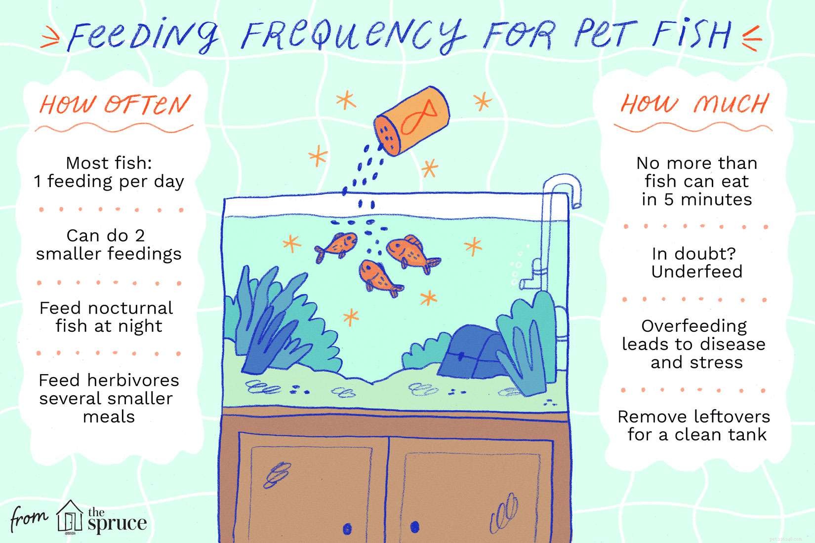 The Ideal Feeding Schedule for Your Fish: Amount, Frequency, and Best Practices