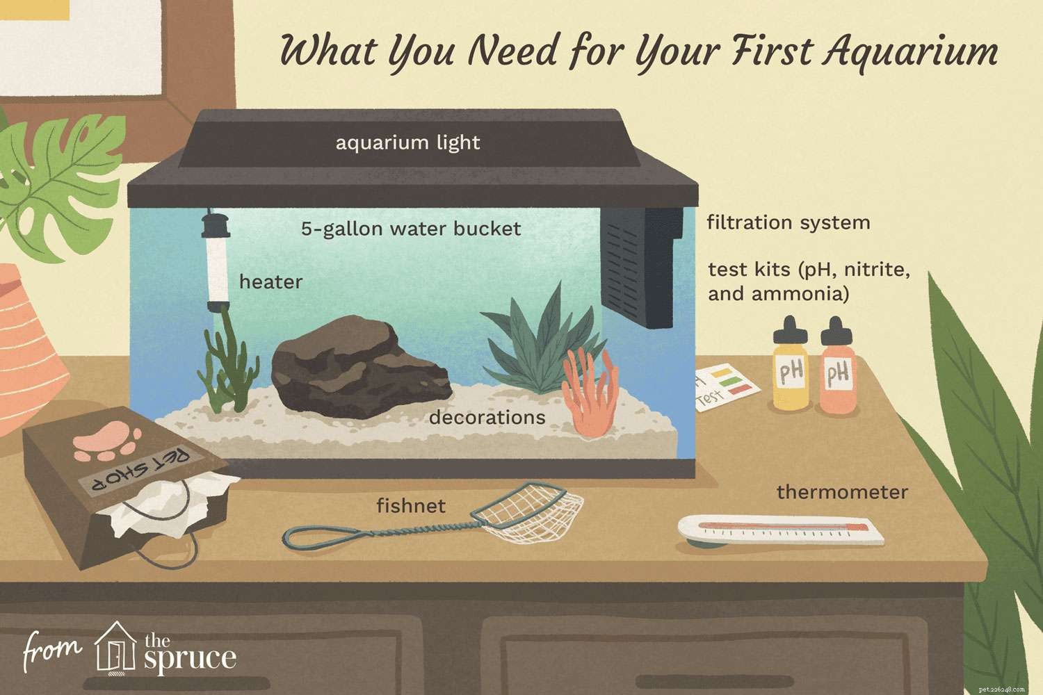 Ultimate Beginner’s Guide: Complete Aquarium Setup Checklist