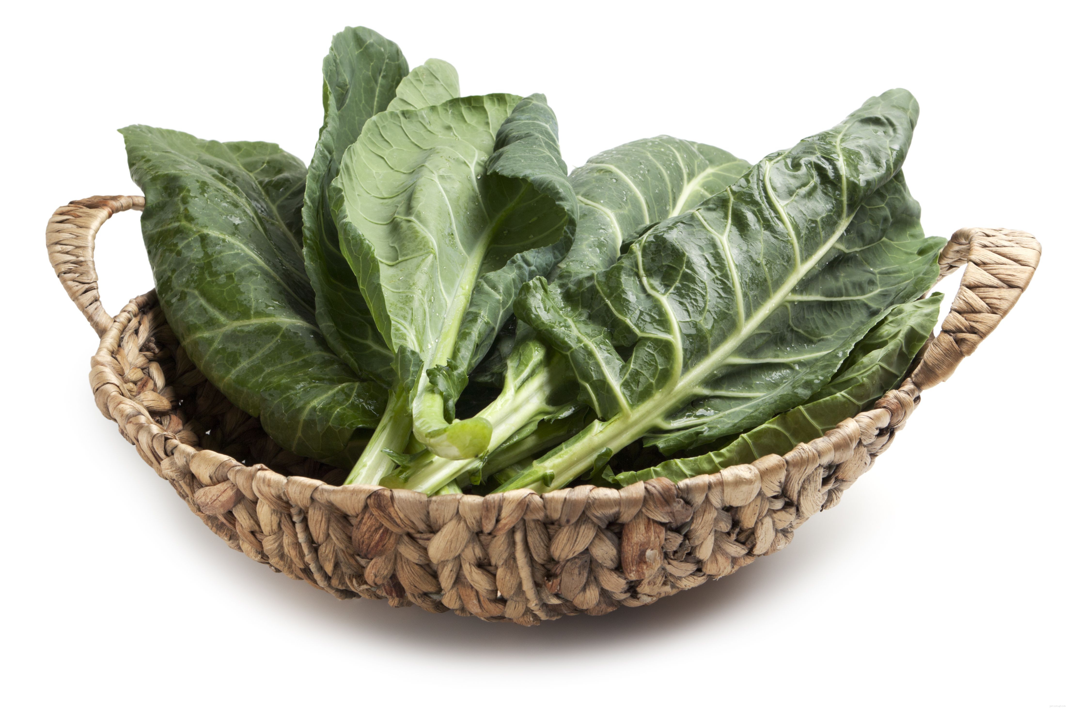 Top 10 Essential Vegetables for Your Parrot’s Health