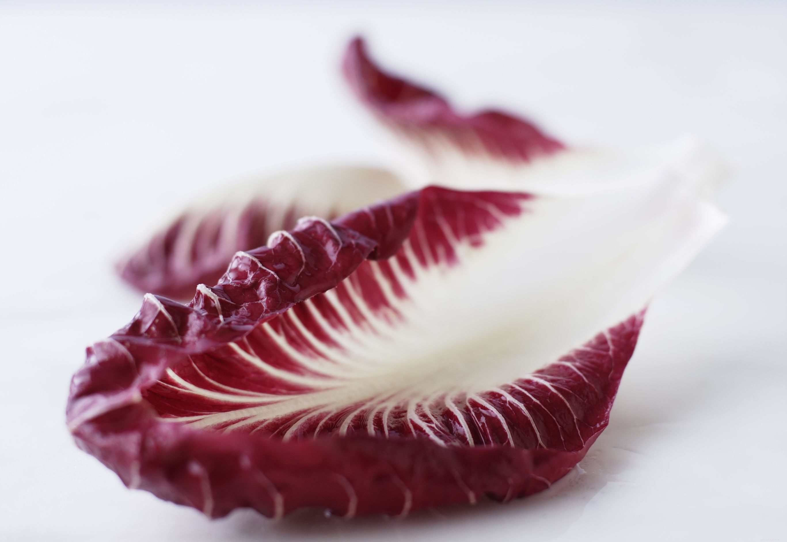 Top 10 Essential Vegetables for Your Parrot’s Health