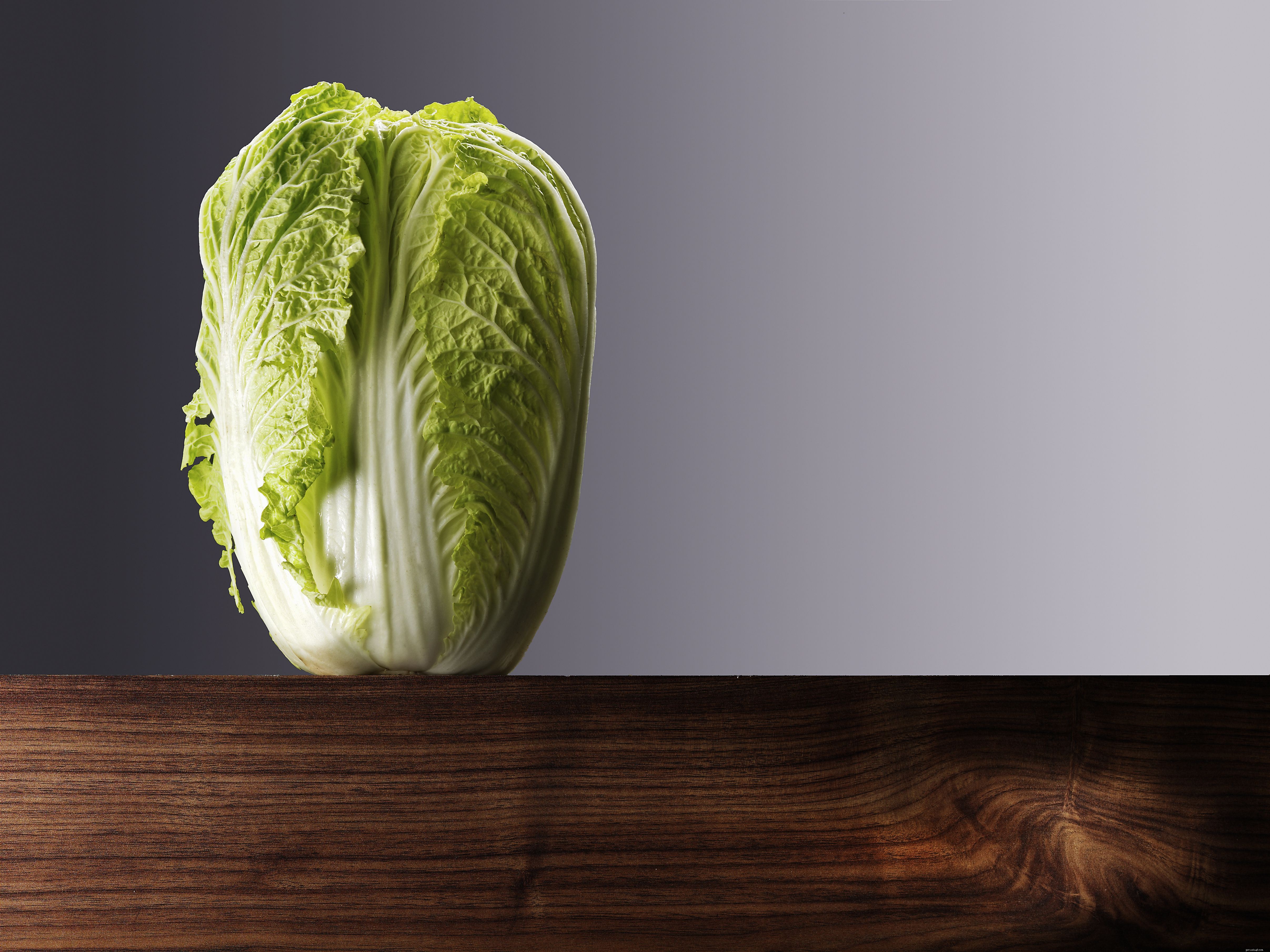 Top 10 Essential Vegetables for Your Parrot’s Health