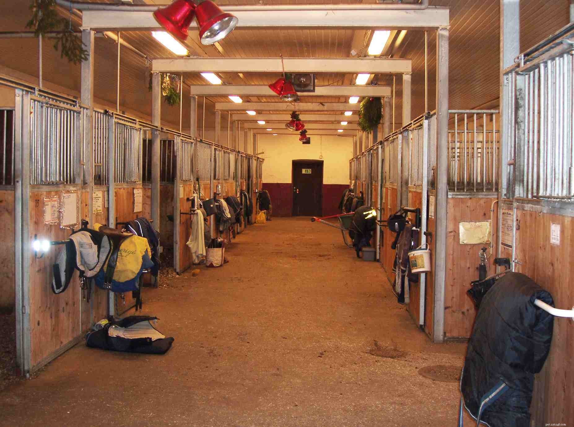 How to Select the Best Floor for Your Horse Stable: Comfort, Health, and Maintenance
