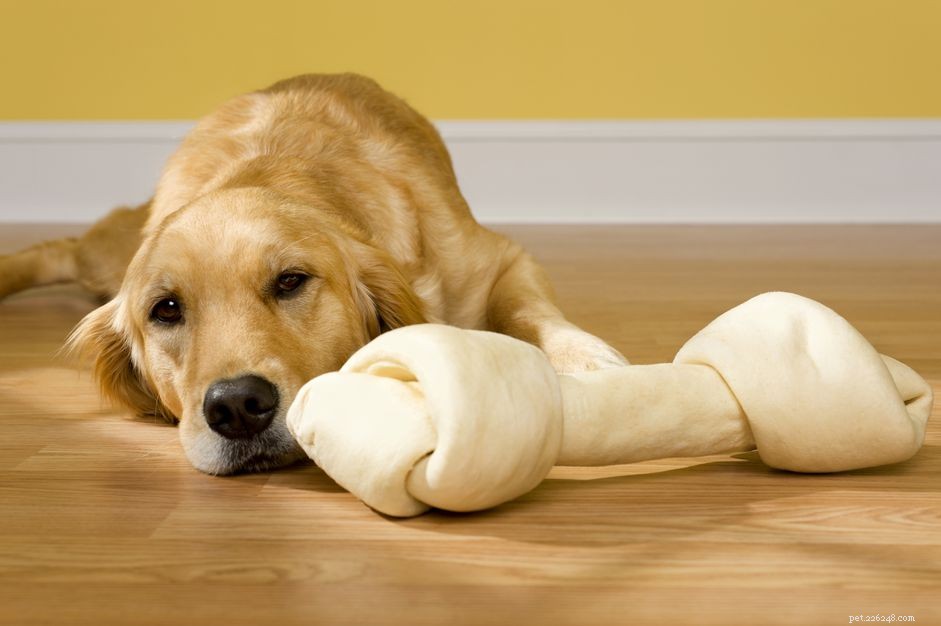 Rawhide for Dogs: Safe Chews and Potential Risks