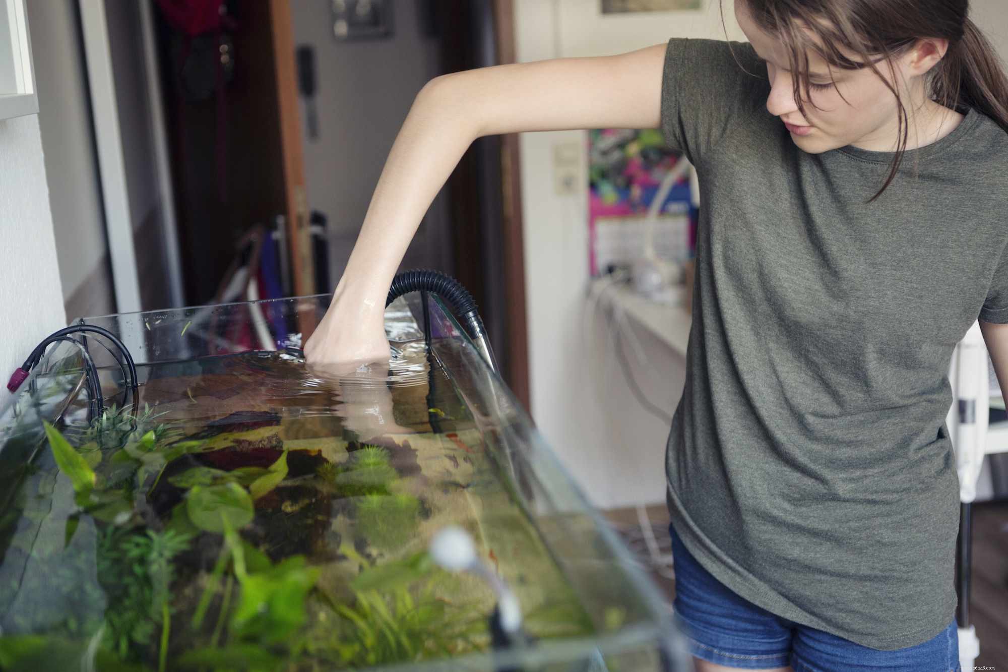 Essential Aquarium Maintenance Guide: Daily to Monthly Tasks for Healthy Fish