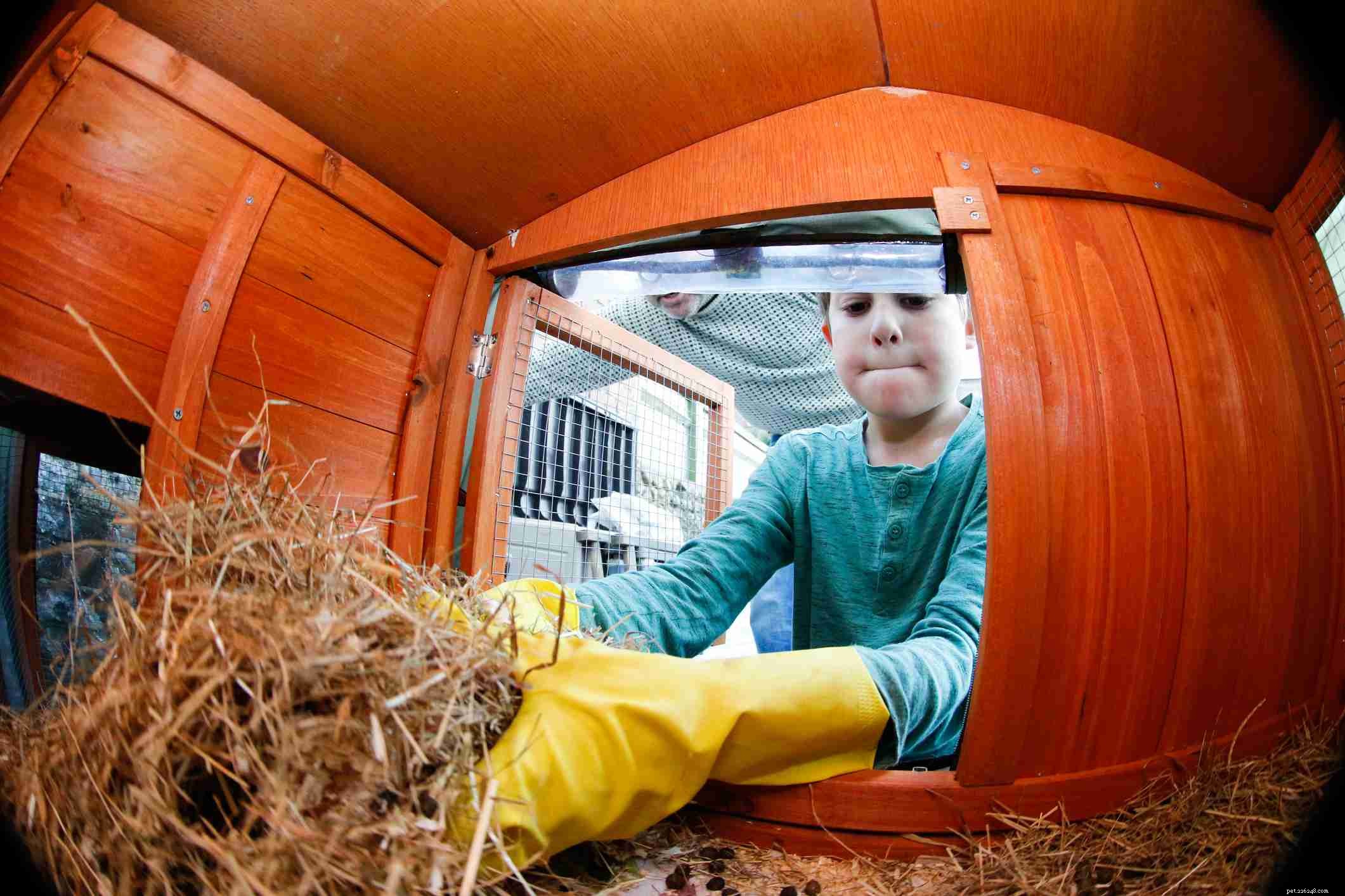 The Ultimate Guide to Safe and Comfortable Pet Rabbit Housing