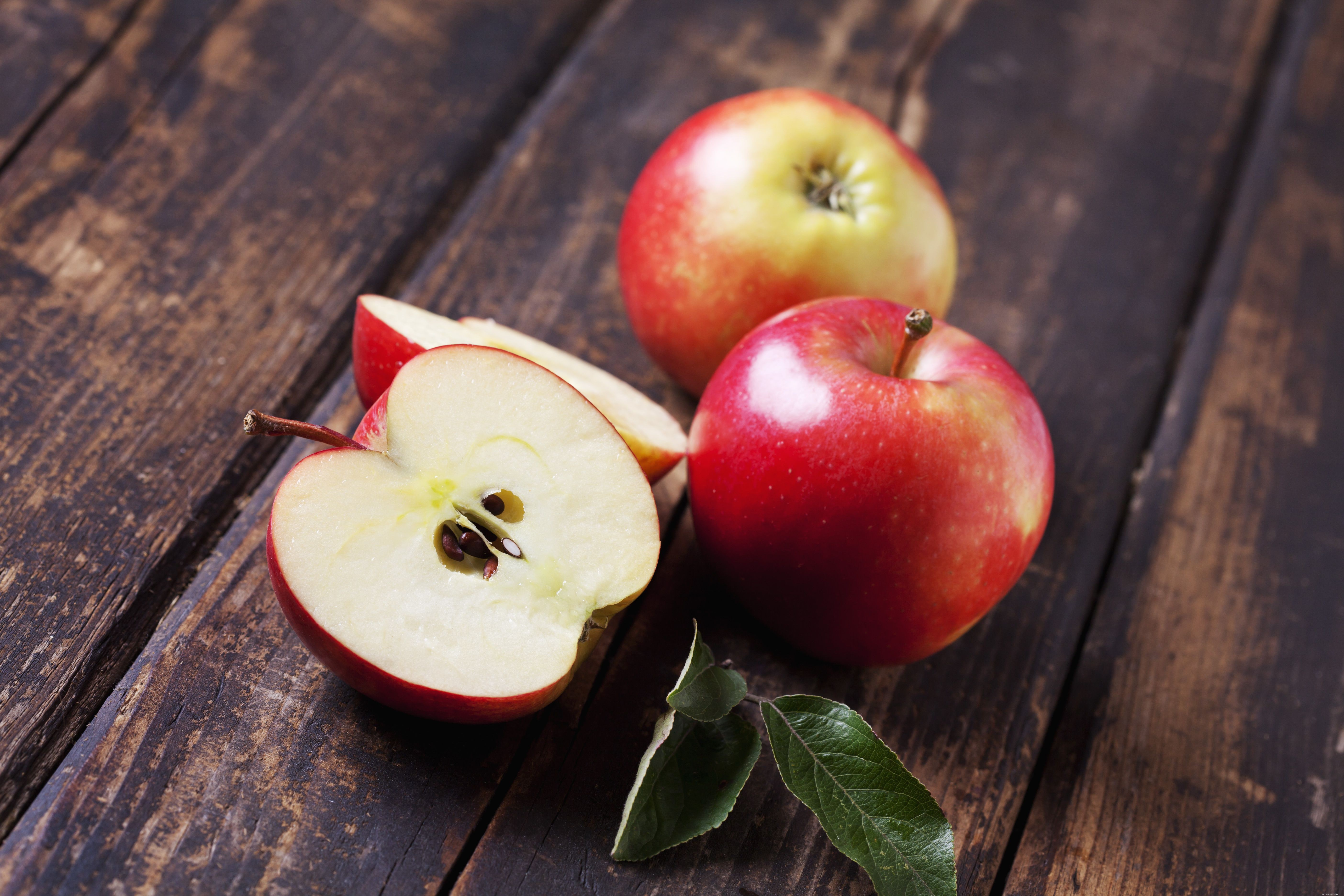 Nutritious Fruits for Birds: Safe, Healthy, and Delicious Options