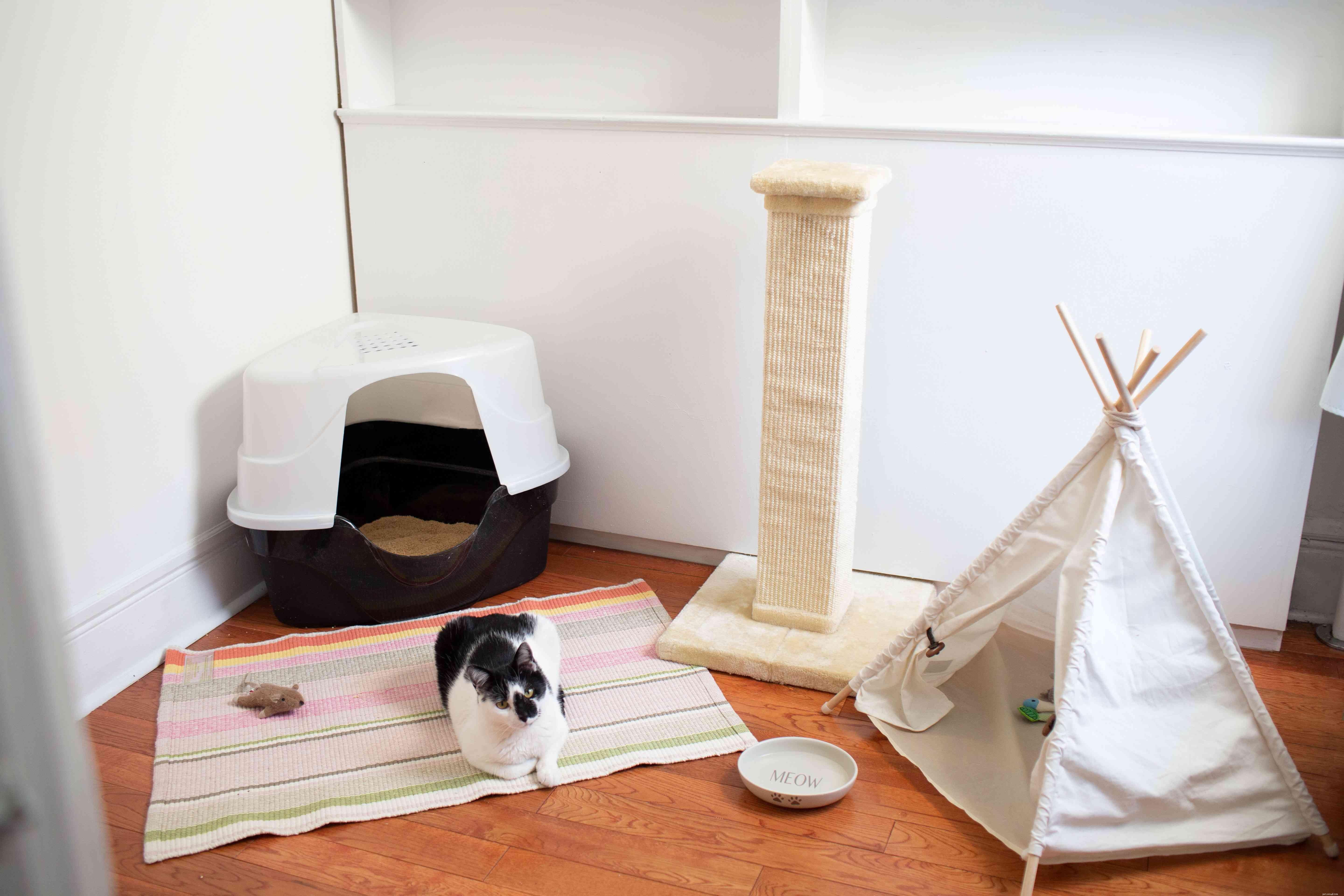Expert Guide: Move With Your Cat Without Stress