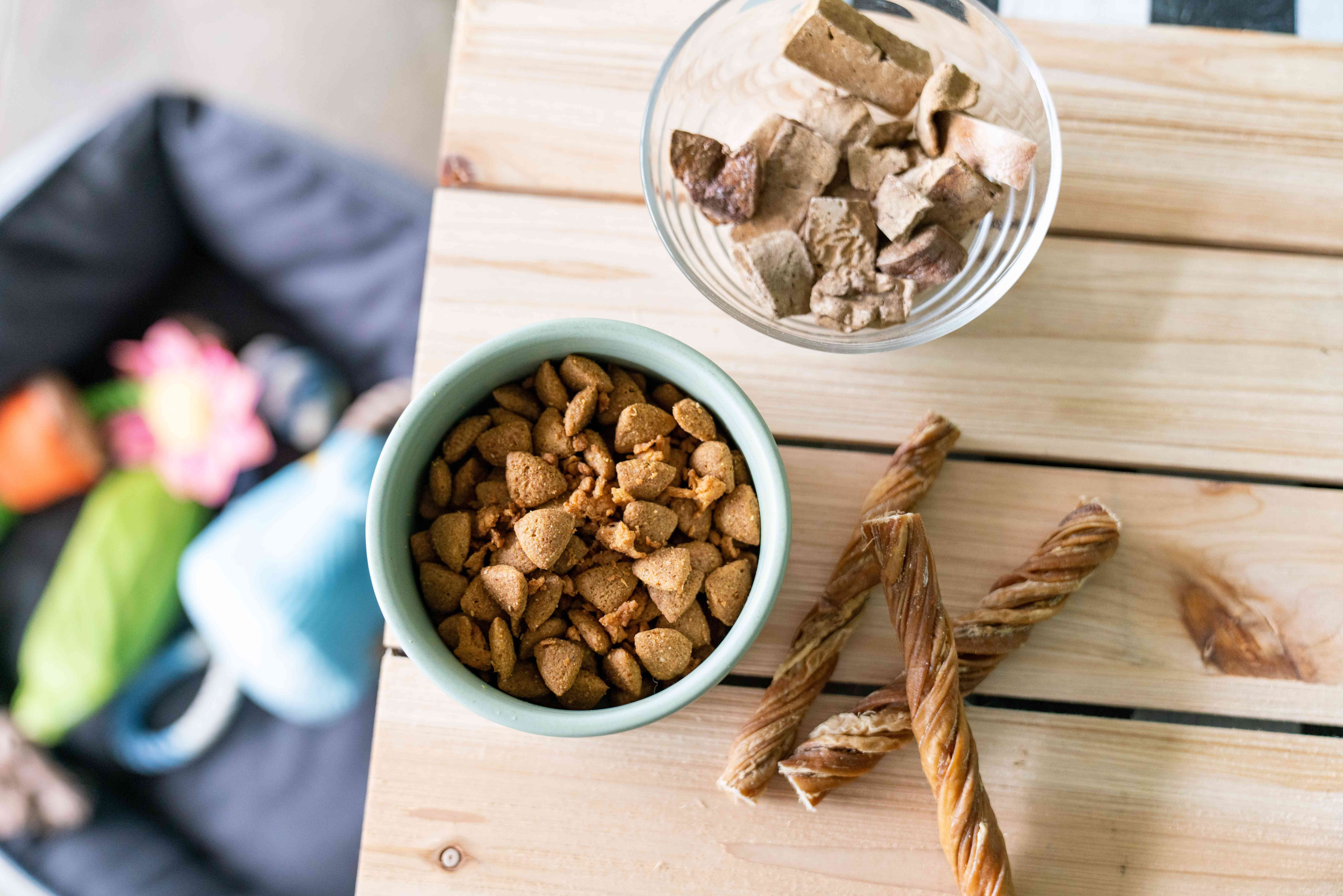 The True Cost of Owning a Dog: A Comprehensive Guide