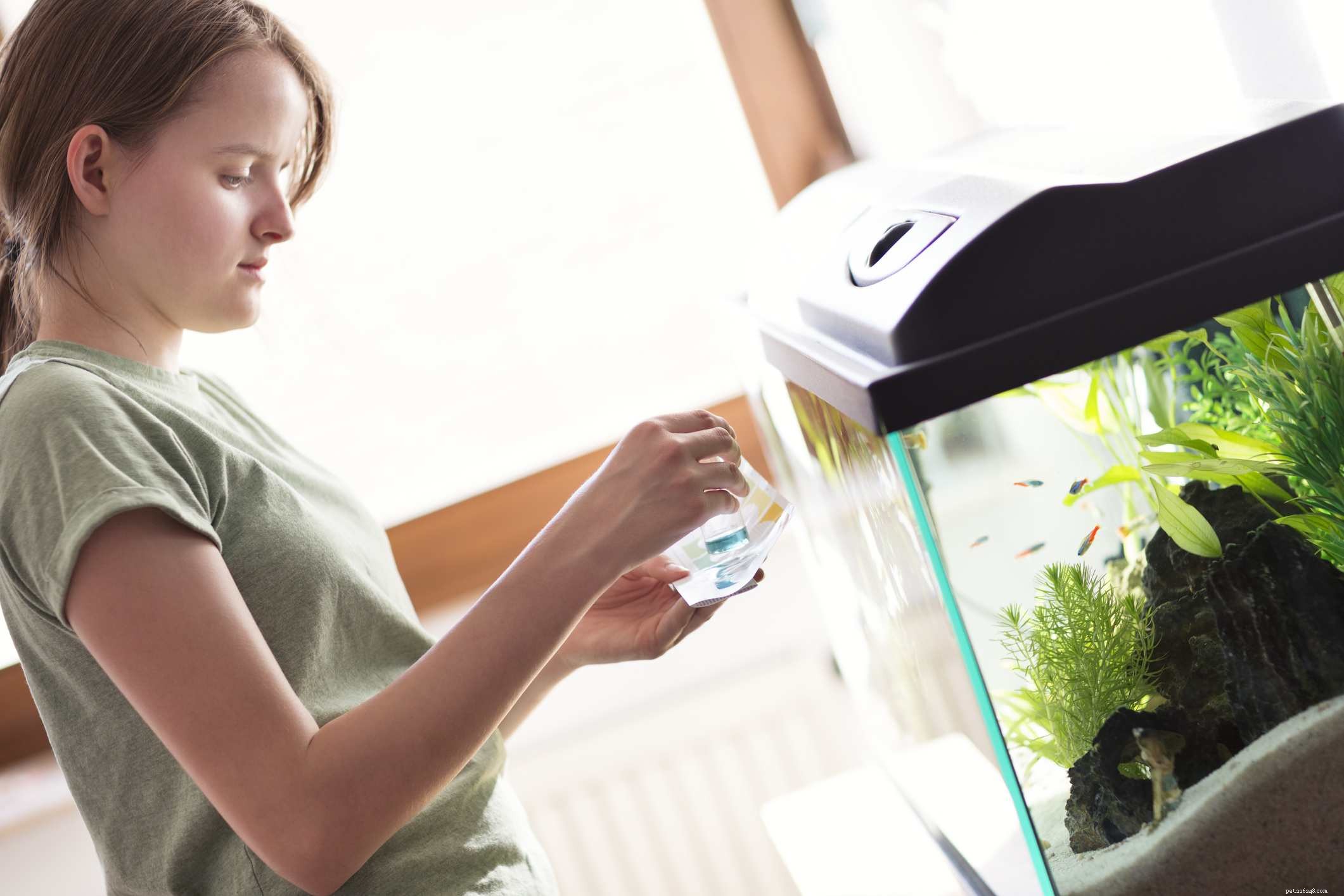 Expert Guide to Safely Acclimating New Fish in Your Home Aquarium