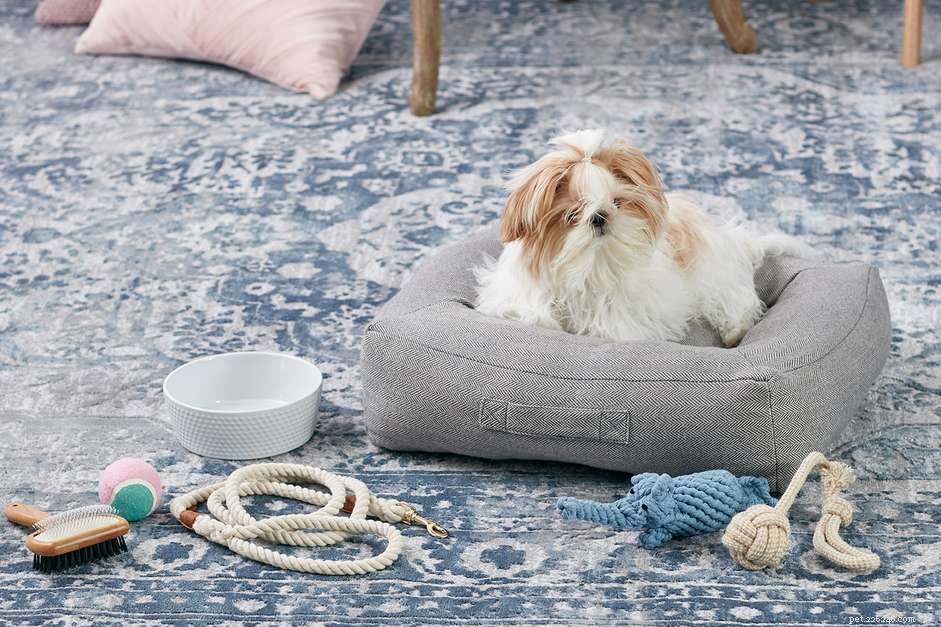 7 Essential Steps Before Bringing Home Your First Puppy