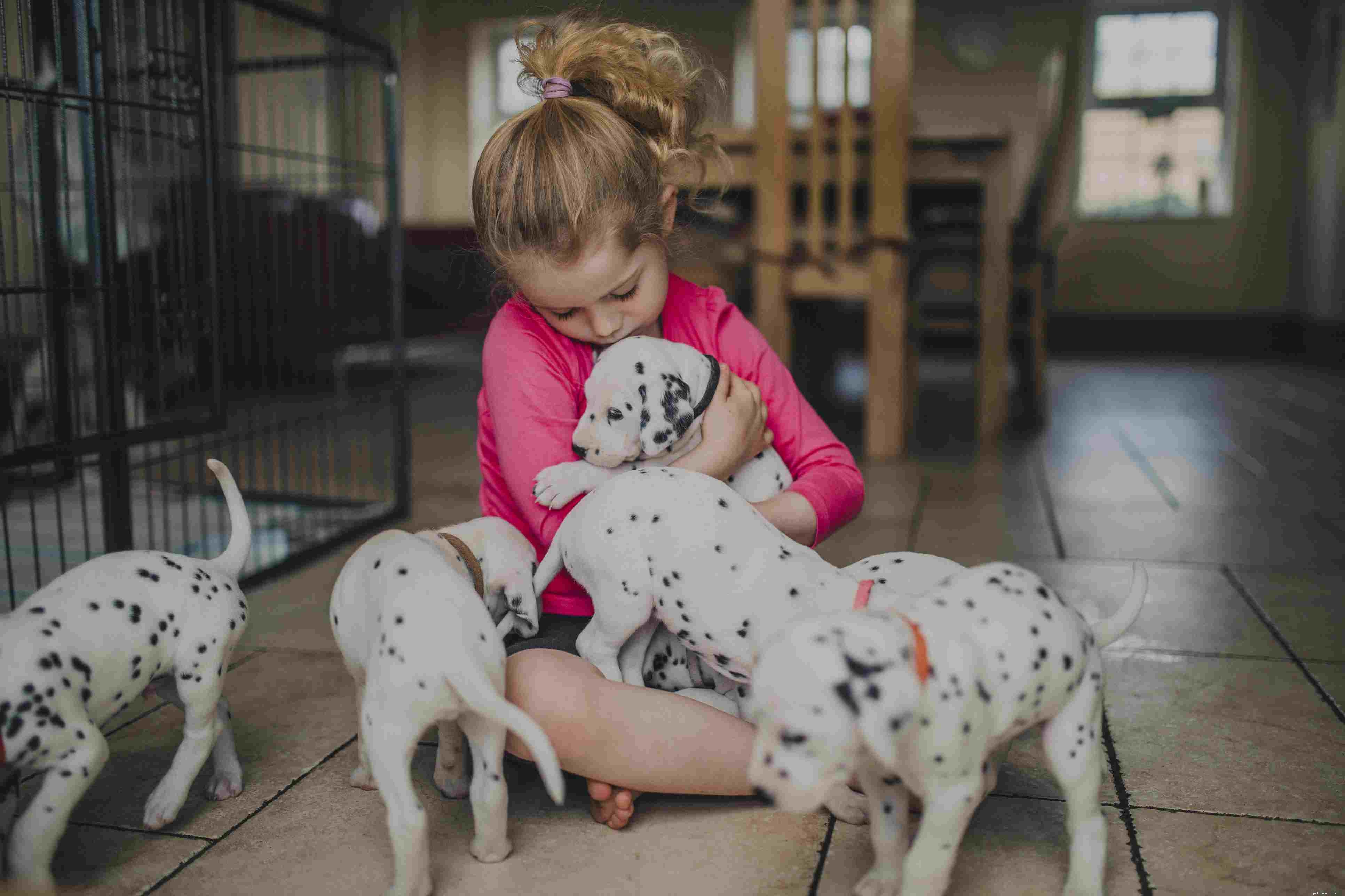 7 Essential Steps Before Bringing Home Your First Puppy