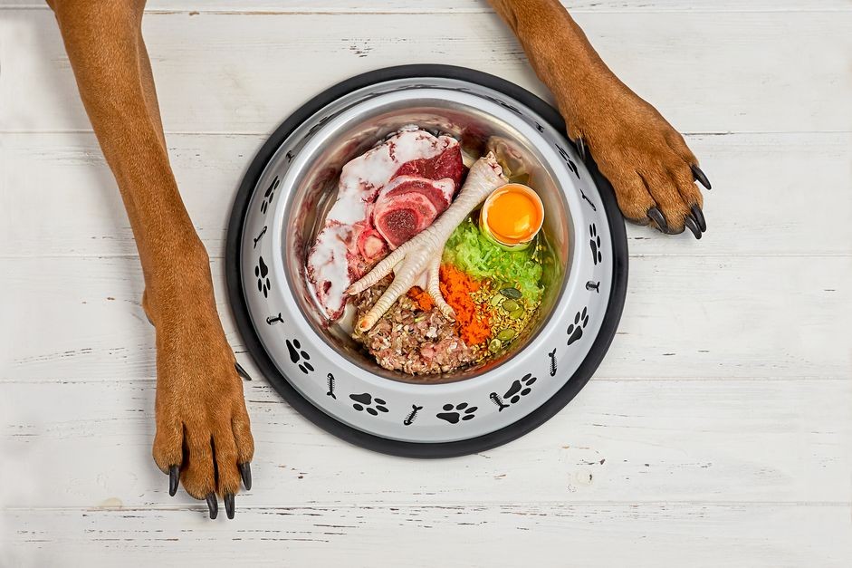 Raw Food Diet for Dogs: Benefits, Risks, and Expert Insights